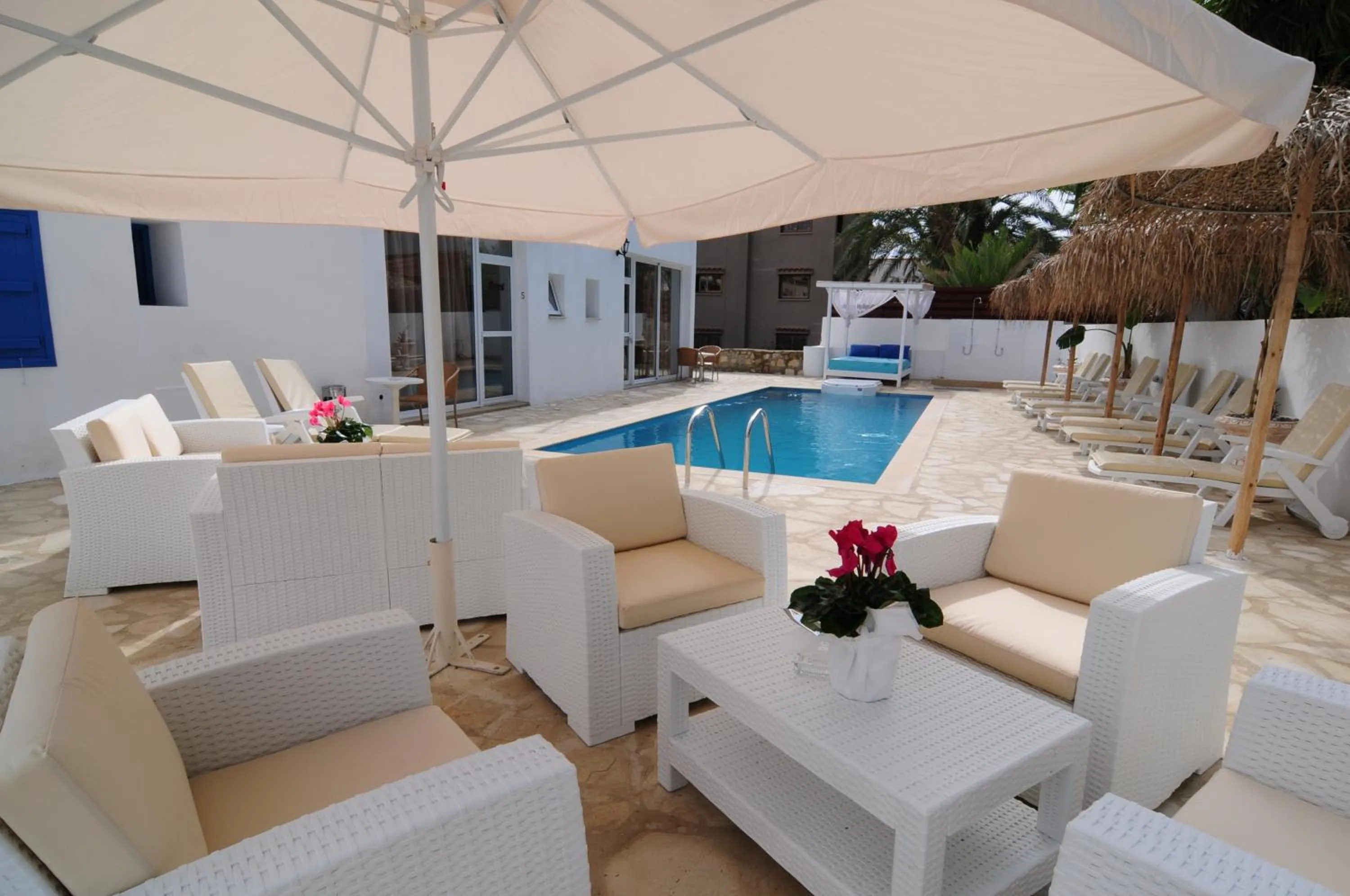 Garden in Lithos Studios