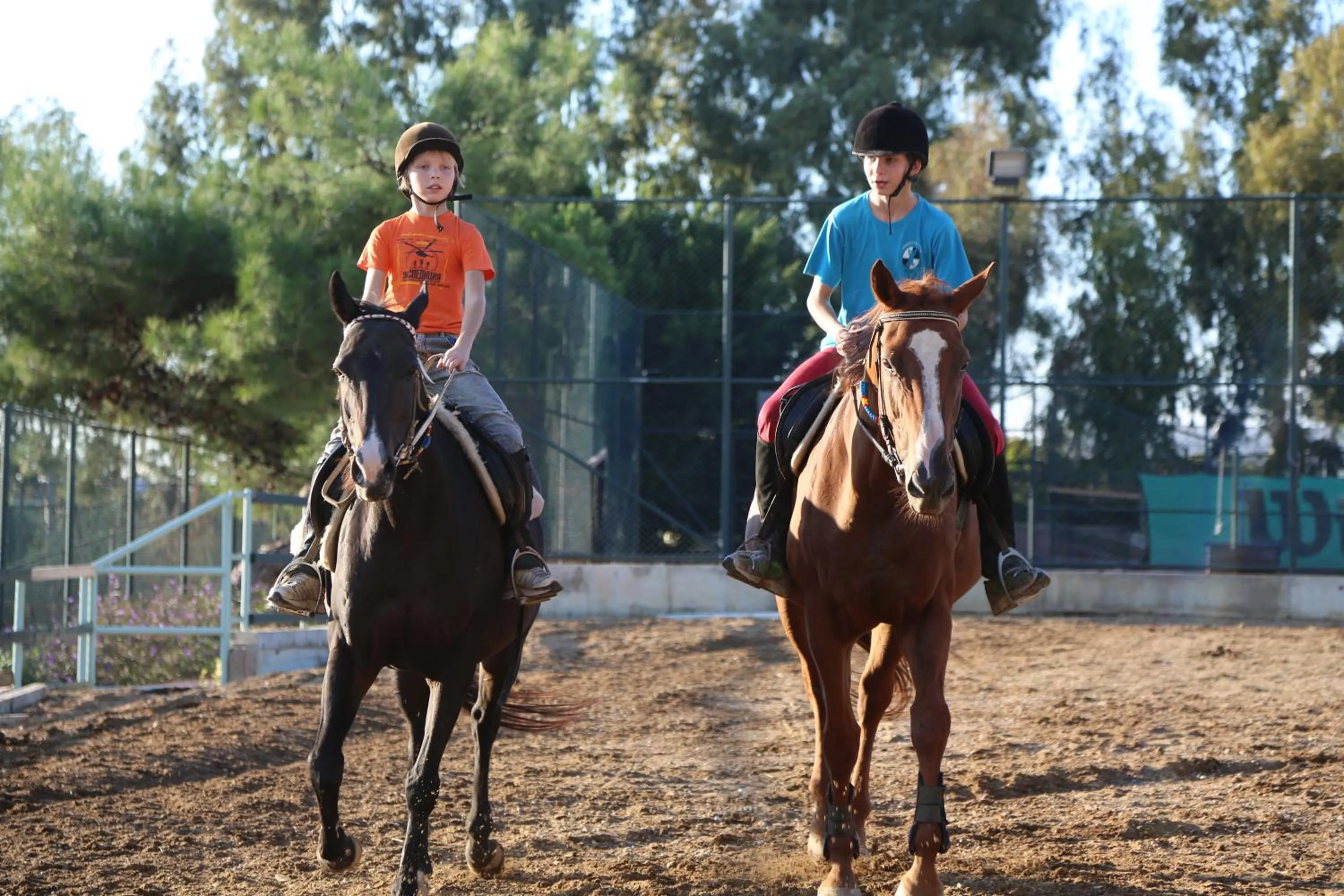 Horse-riding in Starlight Resort Hotel