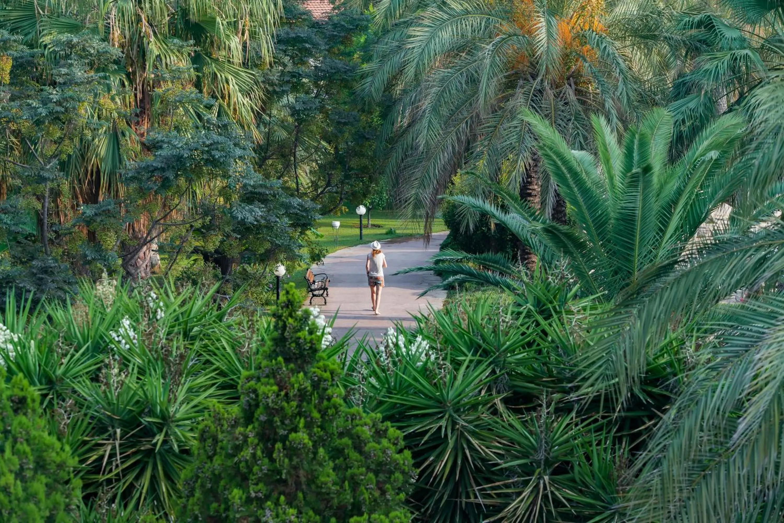Garden in Starlight Resort Hotel