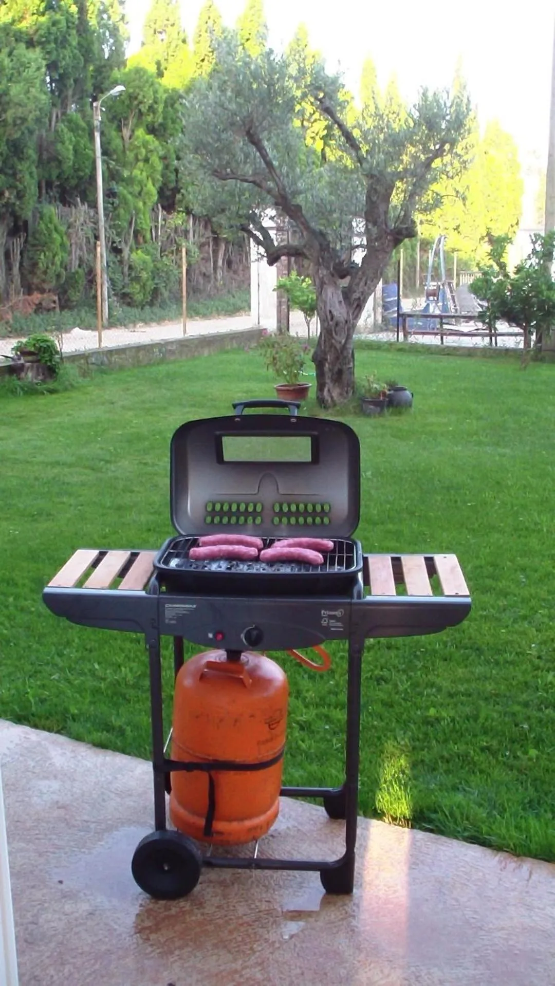 BBQ facilities in La Masia