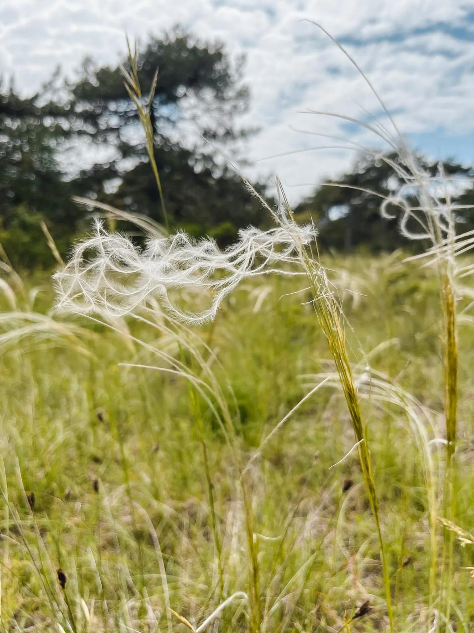 Natural landscape in Lino delle Fate Eco Resort