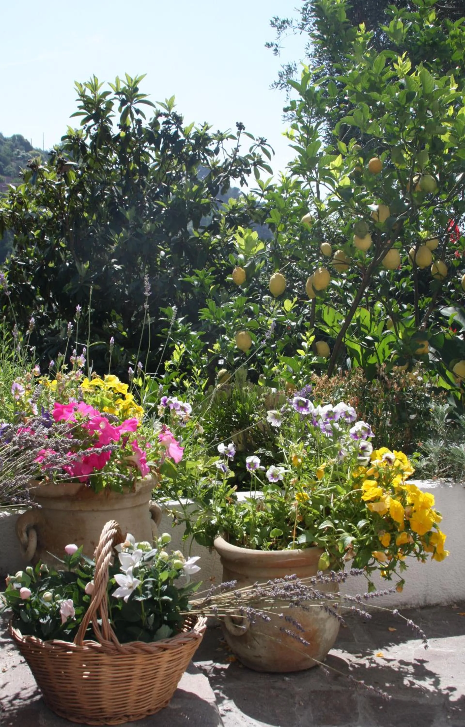 Garden in B&B Le Giare