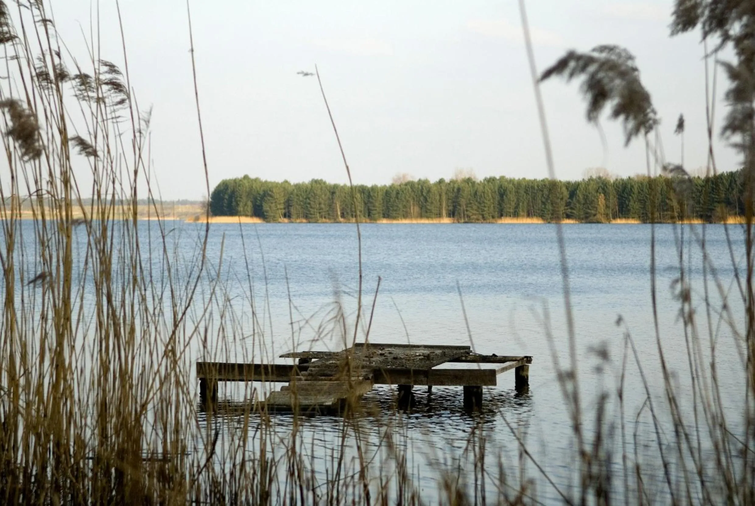 Natural landscape in Hotel Kempense Meren by Sunparks