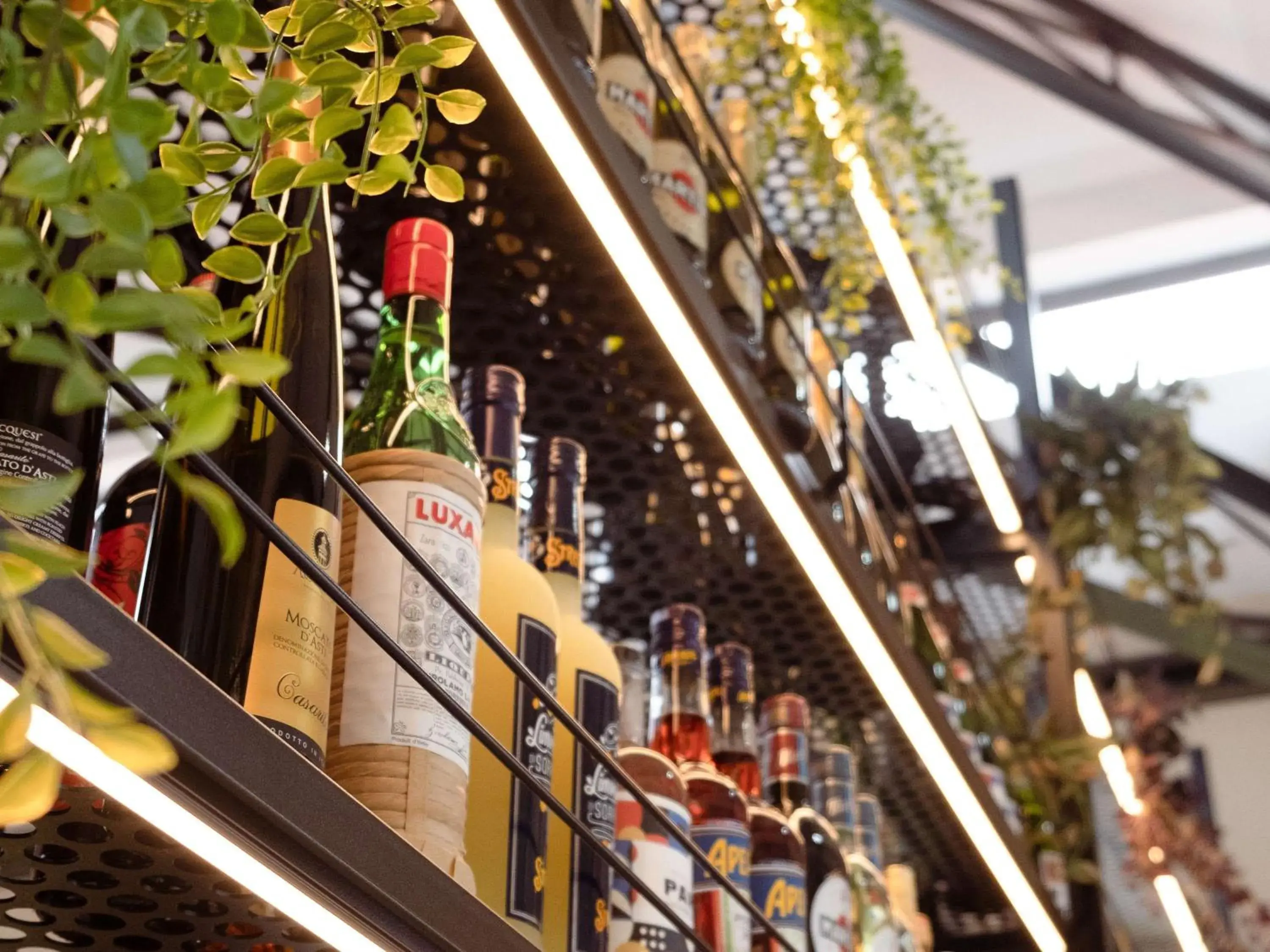 Lounge or bar in ibis Montauban Lounge or bar in ibis Montauban