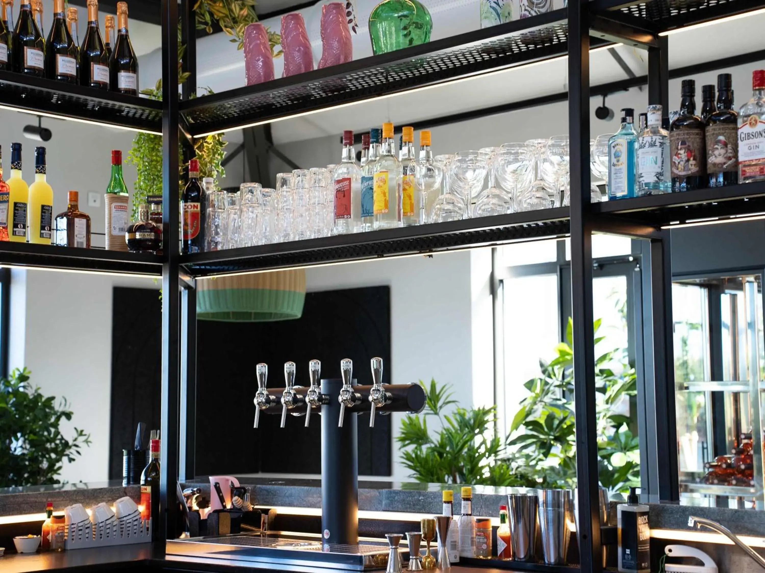 Restaurant/places to eat in ibis Montauban Restaurant/places to eat in ibis Montauban