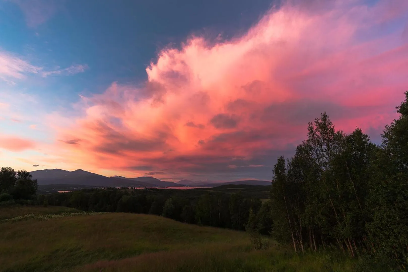 Summer in Aurora Borealis Observatory