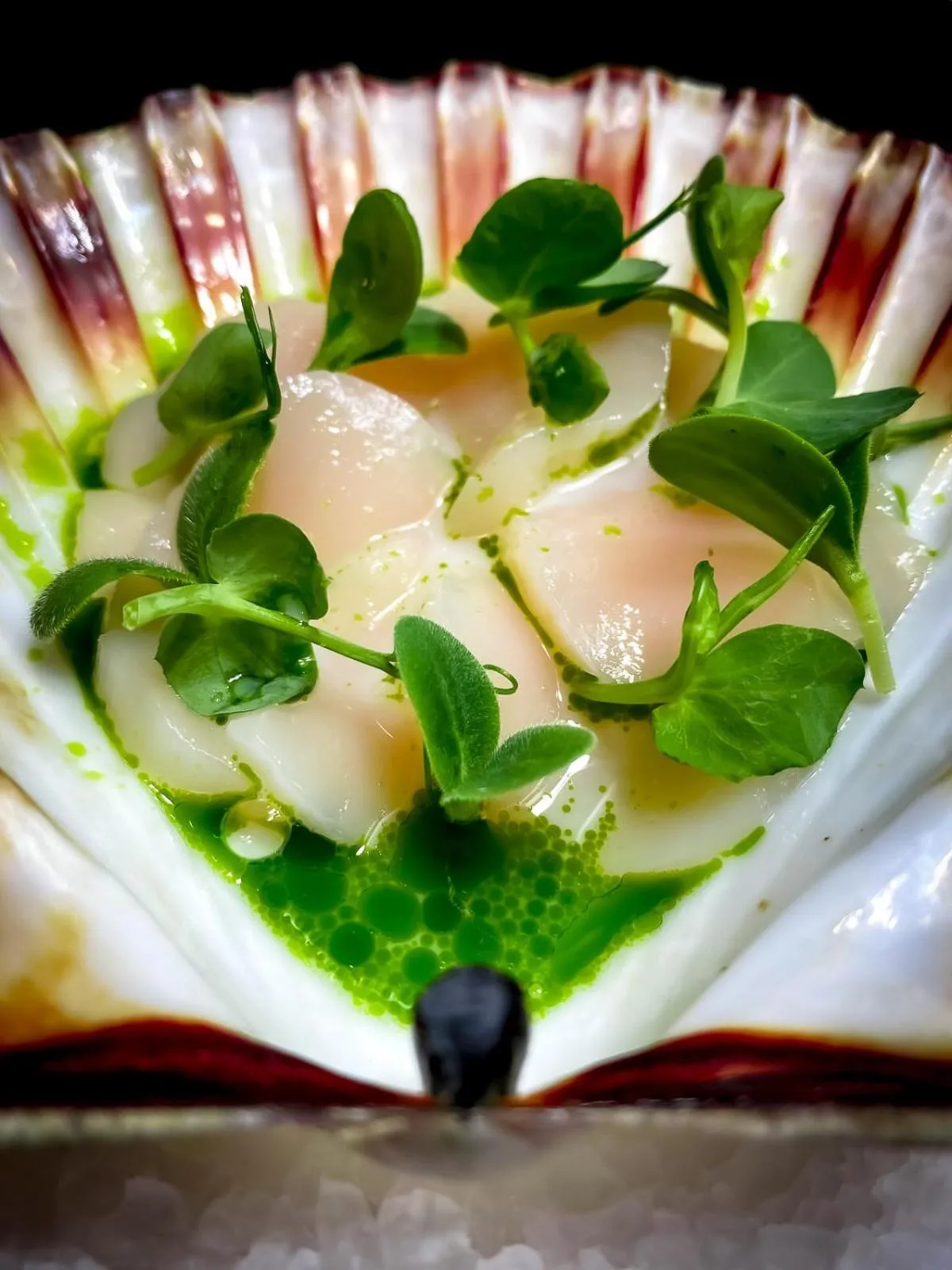 Restaurant/places to eat in Aurora Borealis Observatory