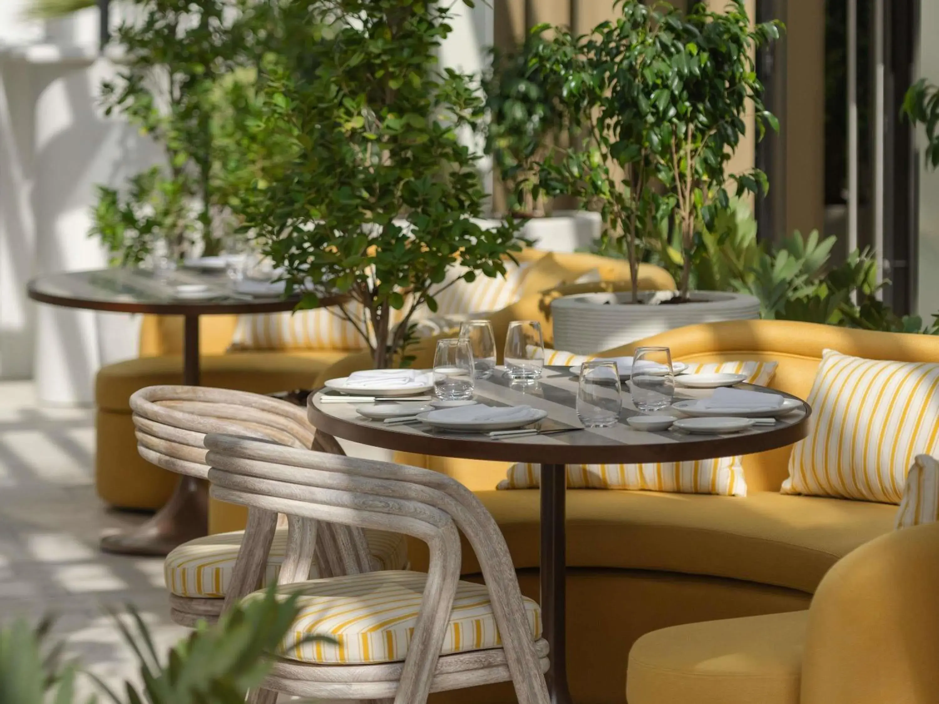 Restaurant/places to eat in Delano Dubai at Bluewaters Restaurant/places to eat in Delano Dubai at Bluewaters