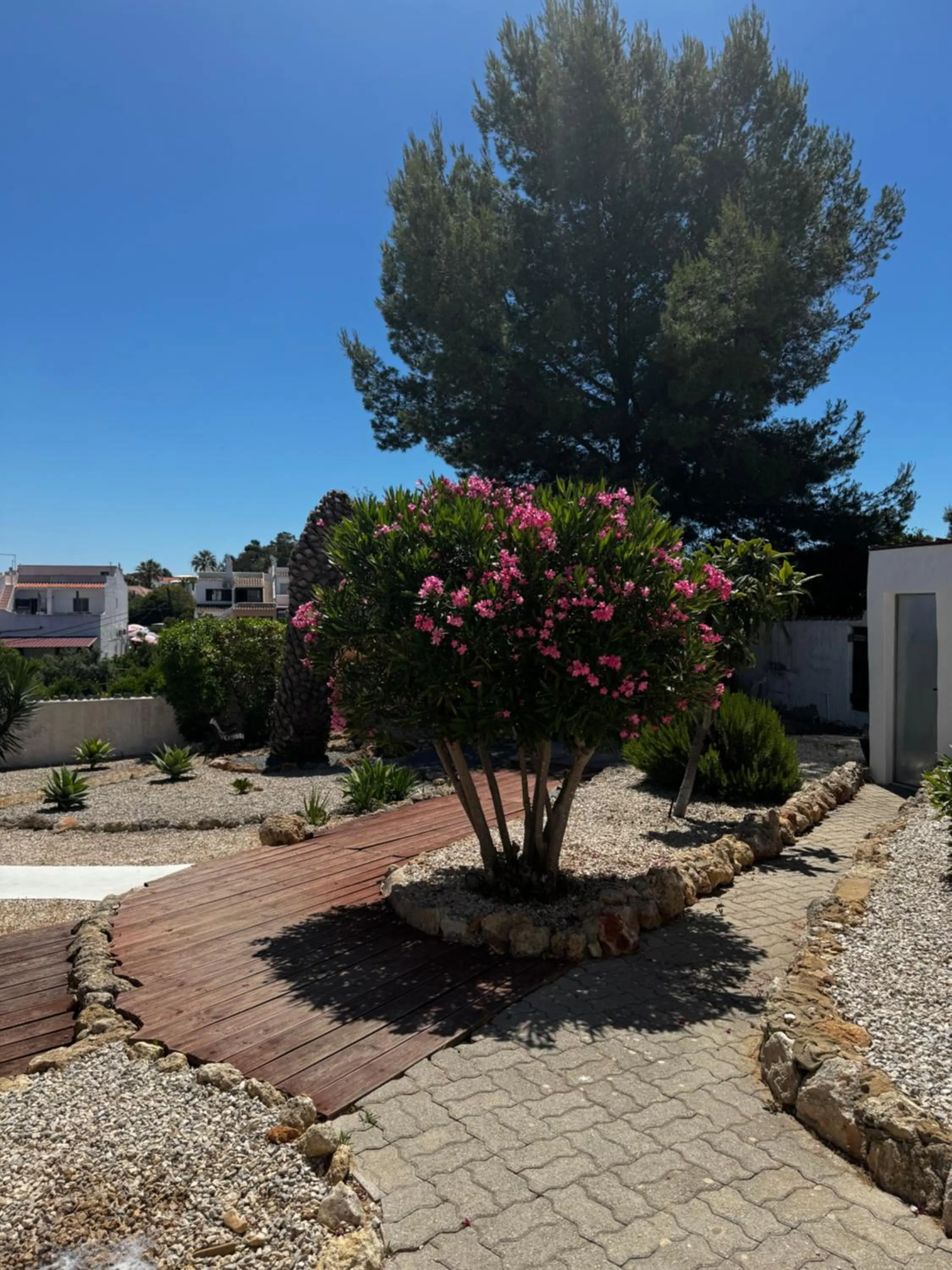 Garden in Vila Horizonte