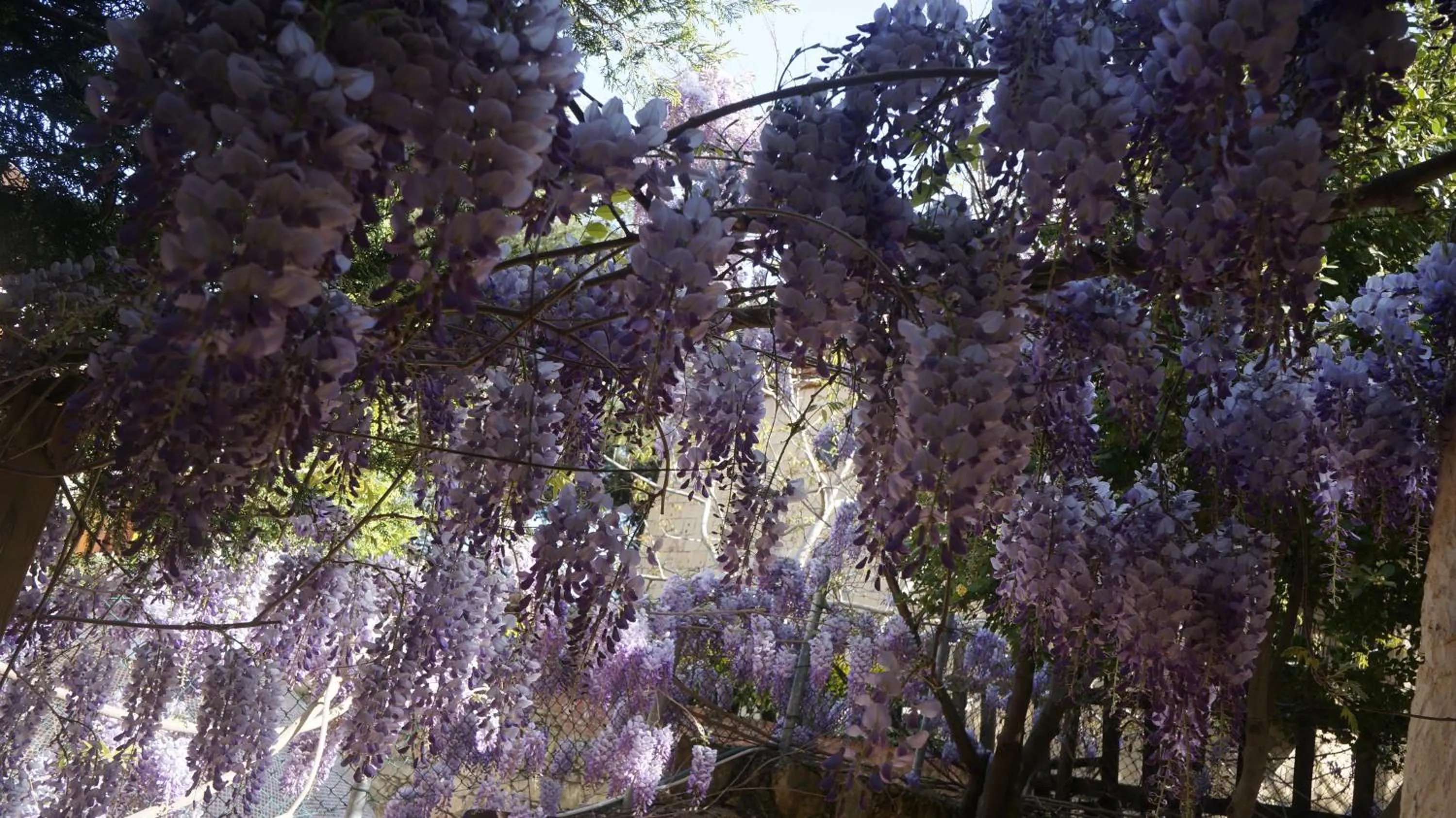 Natural landscape in Kisik Konagi