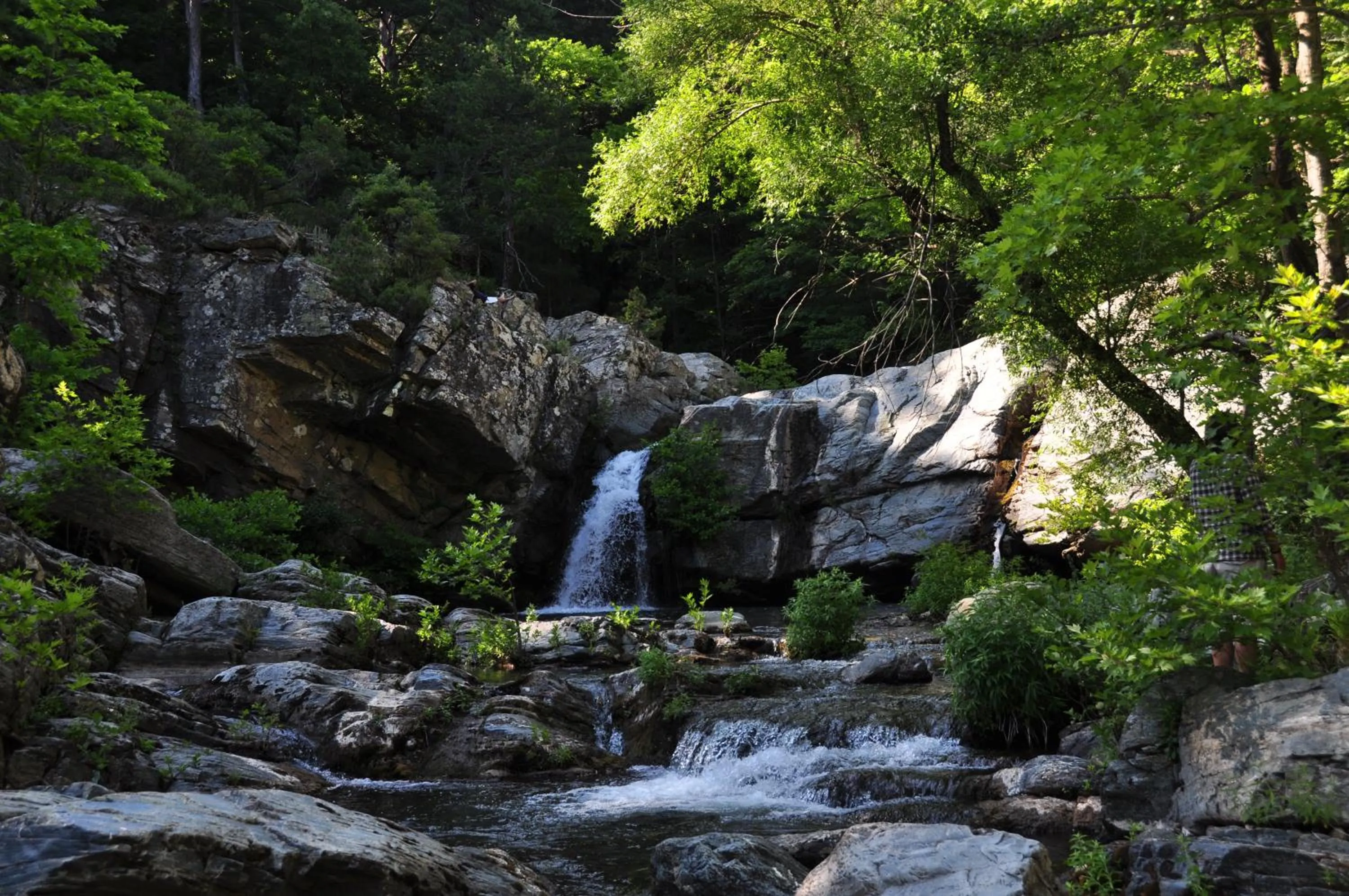 Activities in Kisik Konagi