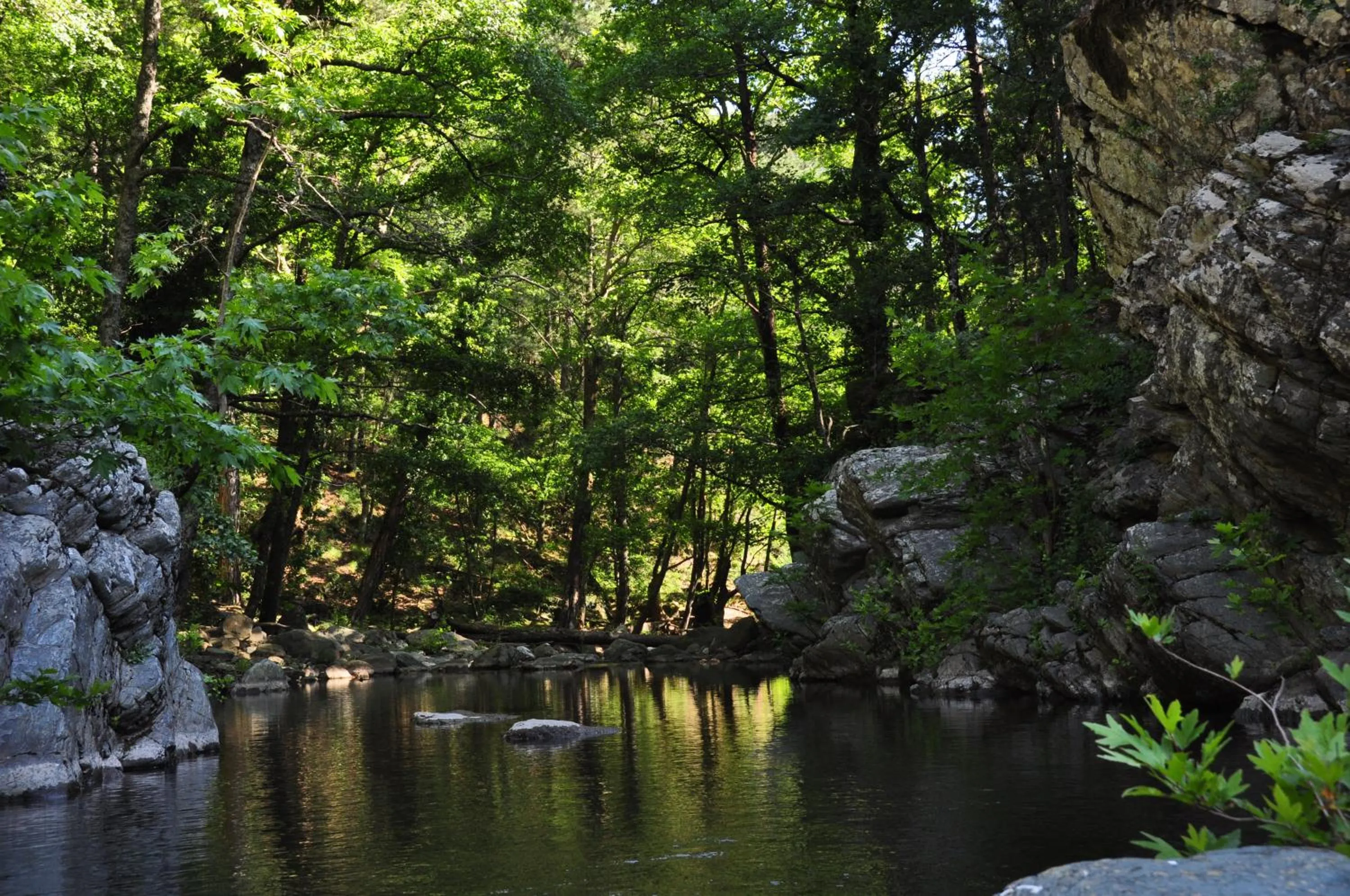 Natural landscape in Kisik Konagi
