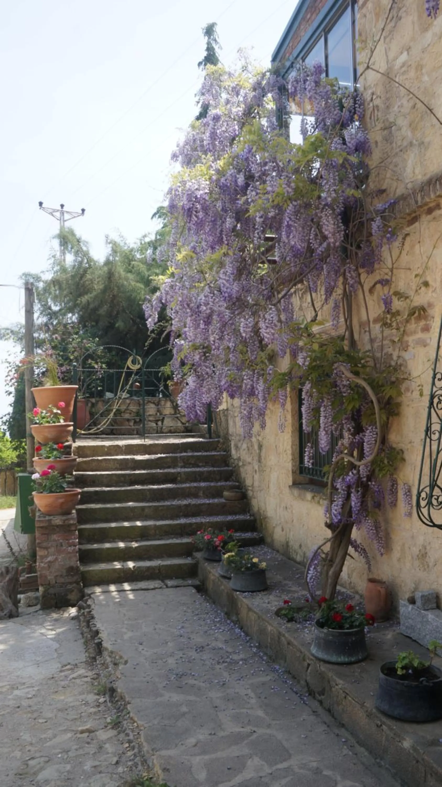 Facade/entrance in Kisik Konagi