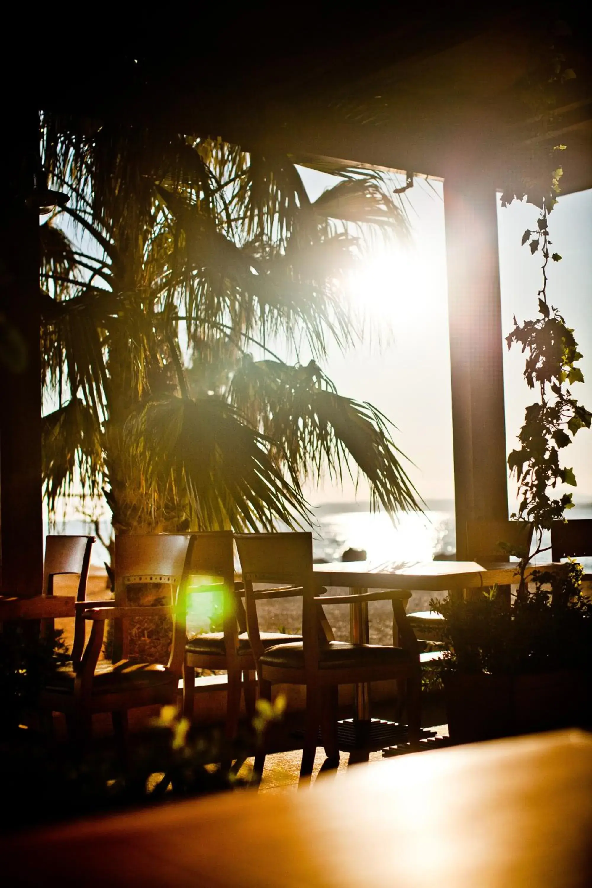 Restaurant/places to eat in Hotel Jona Restaurant/places to eat in Hotel Jona