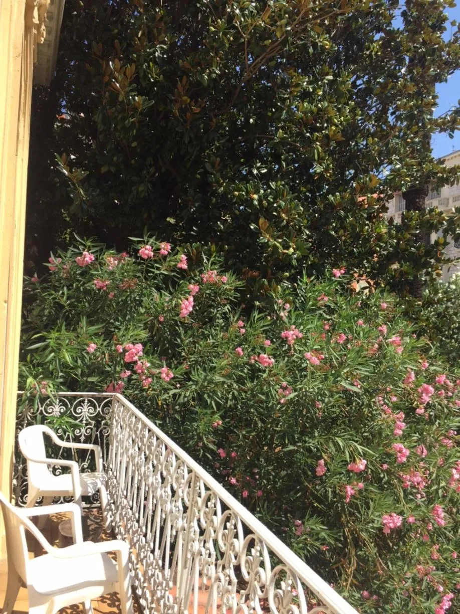 Balcony/Terrace in Hôtel Belle Meunière
