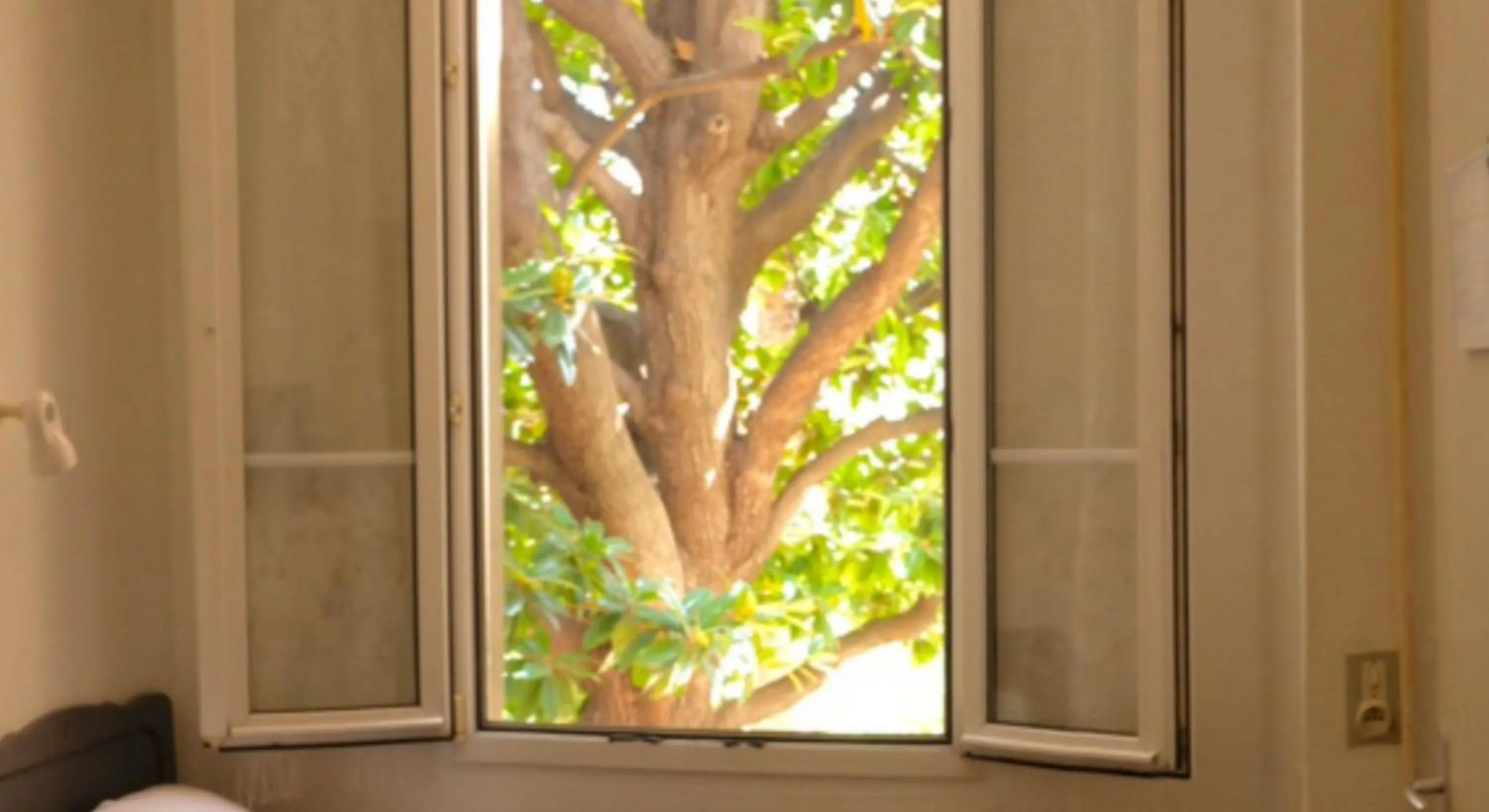 View (from property/room) in Hôtel Belle Meunière