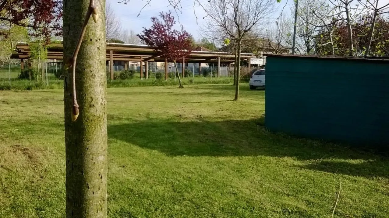 Garden in Hotel Rosati