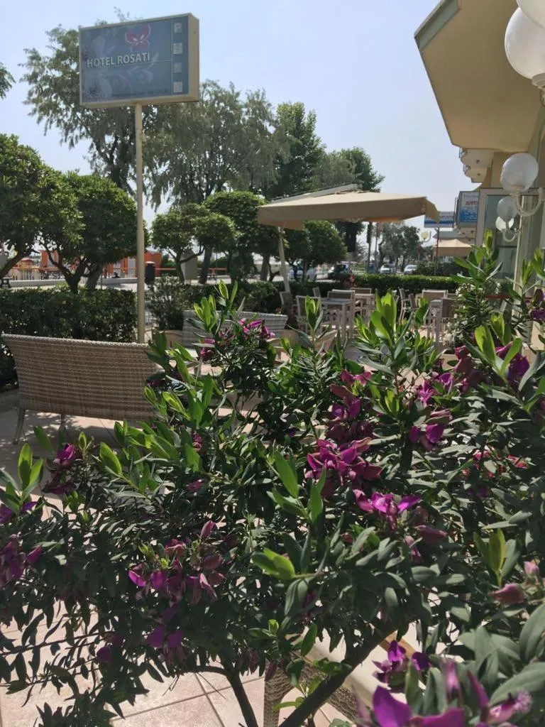 Garden in Hotel Rosati