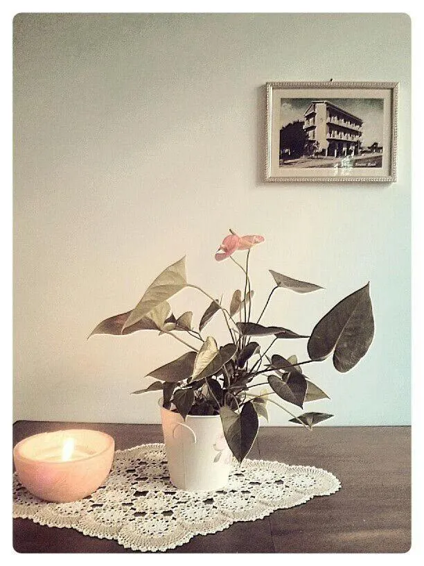 Decorative detail in Hotel Rosati