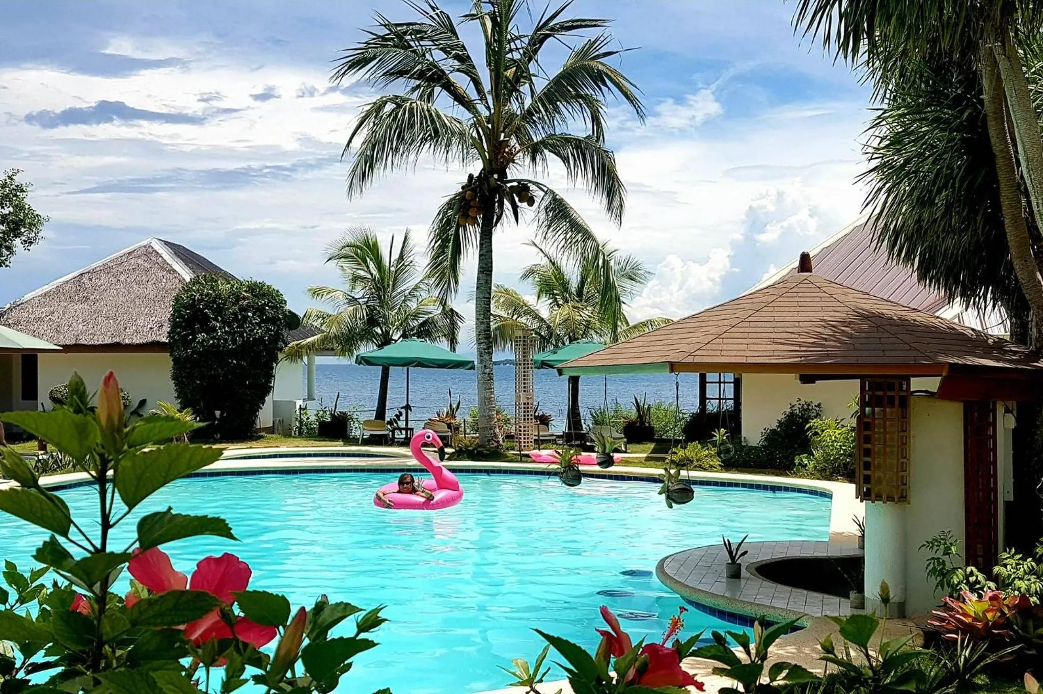 Swimming pool in Quo Vadis Dive Resort