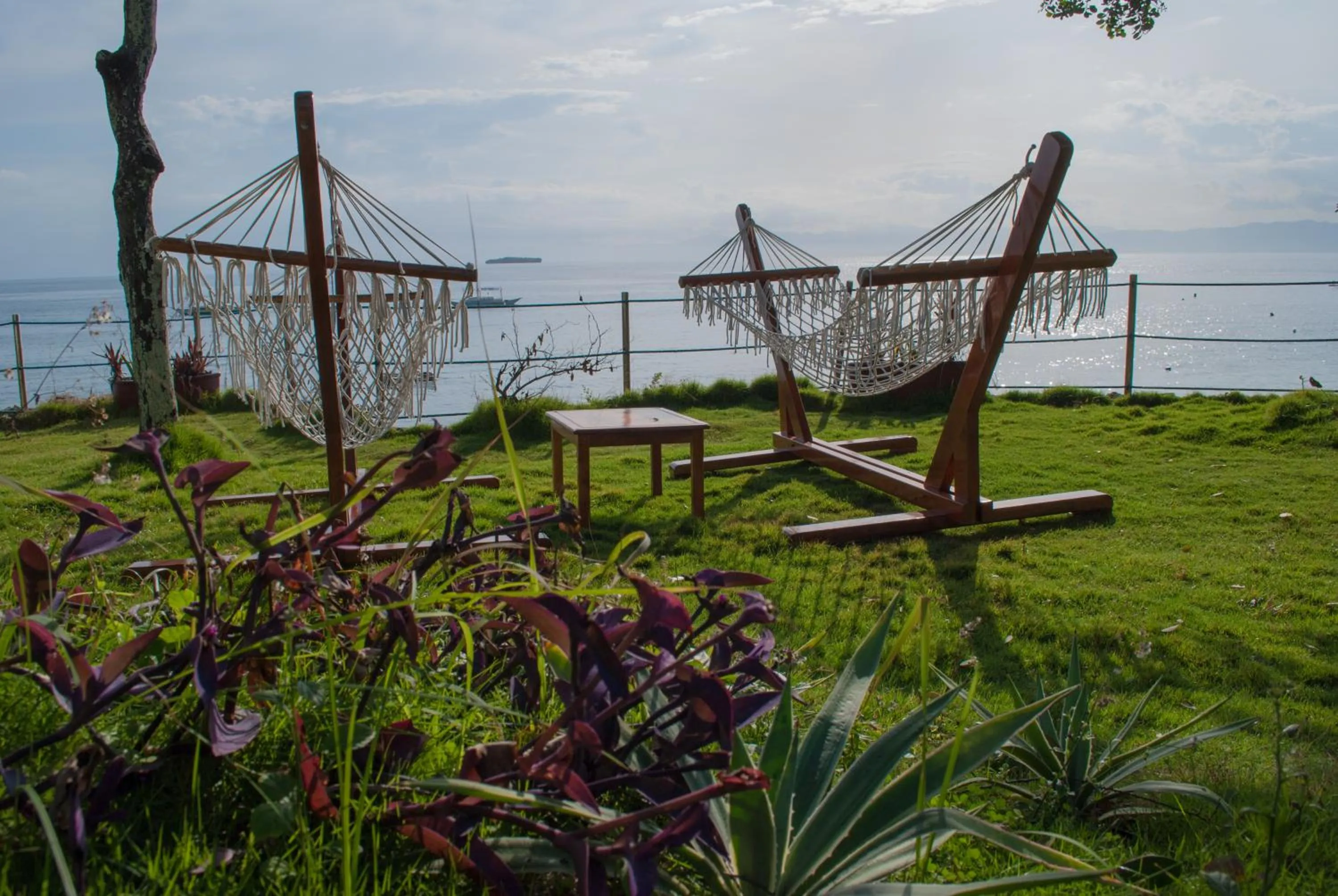 On site in Quo Vadis Dive Resort