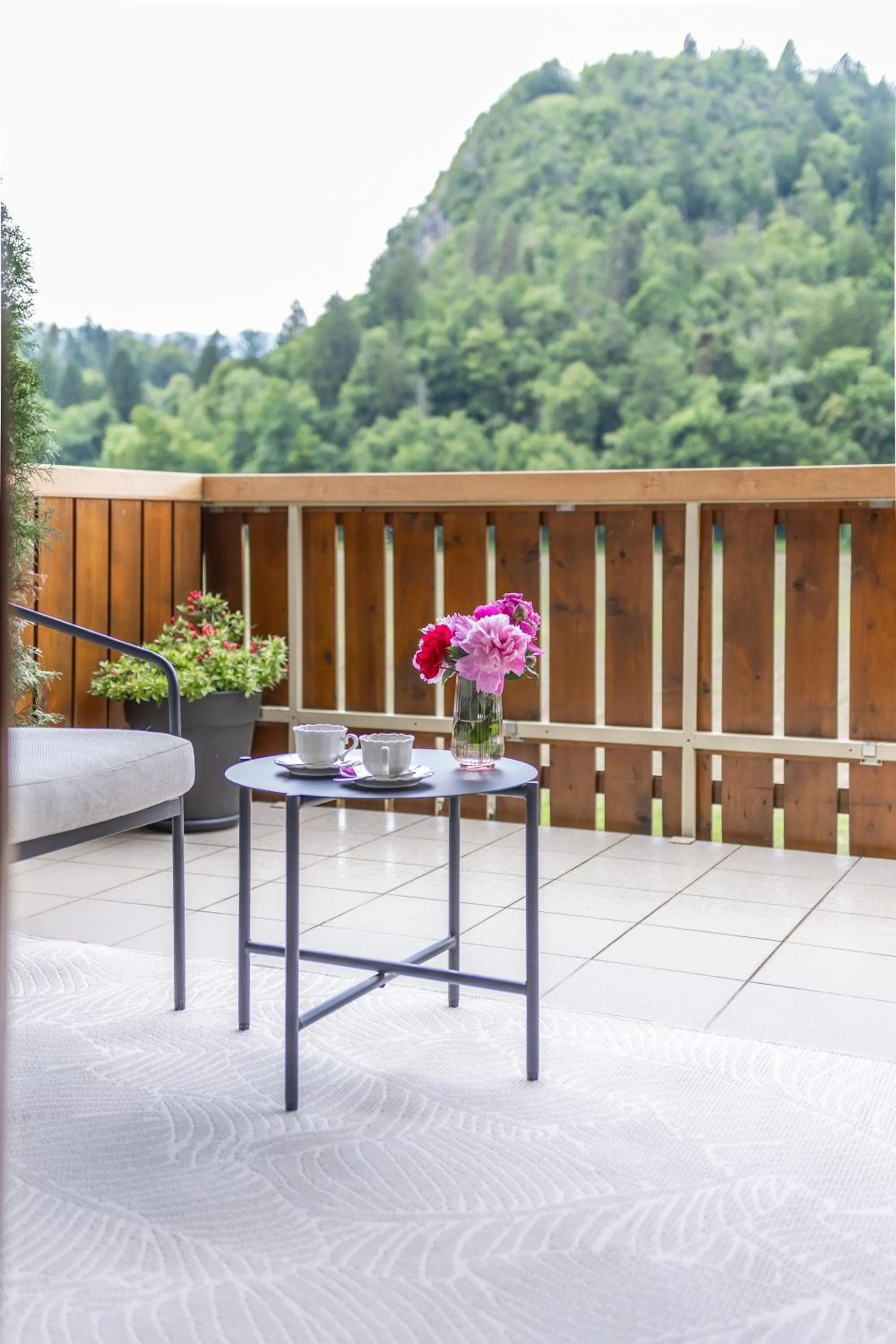 View (from property/room) in Apartments-Rooms Kocijancic