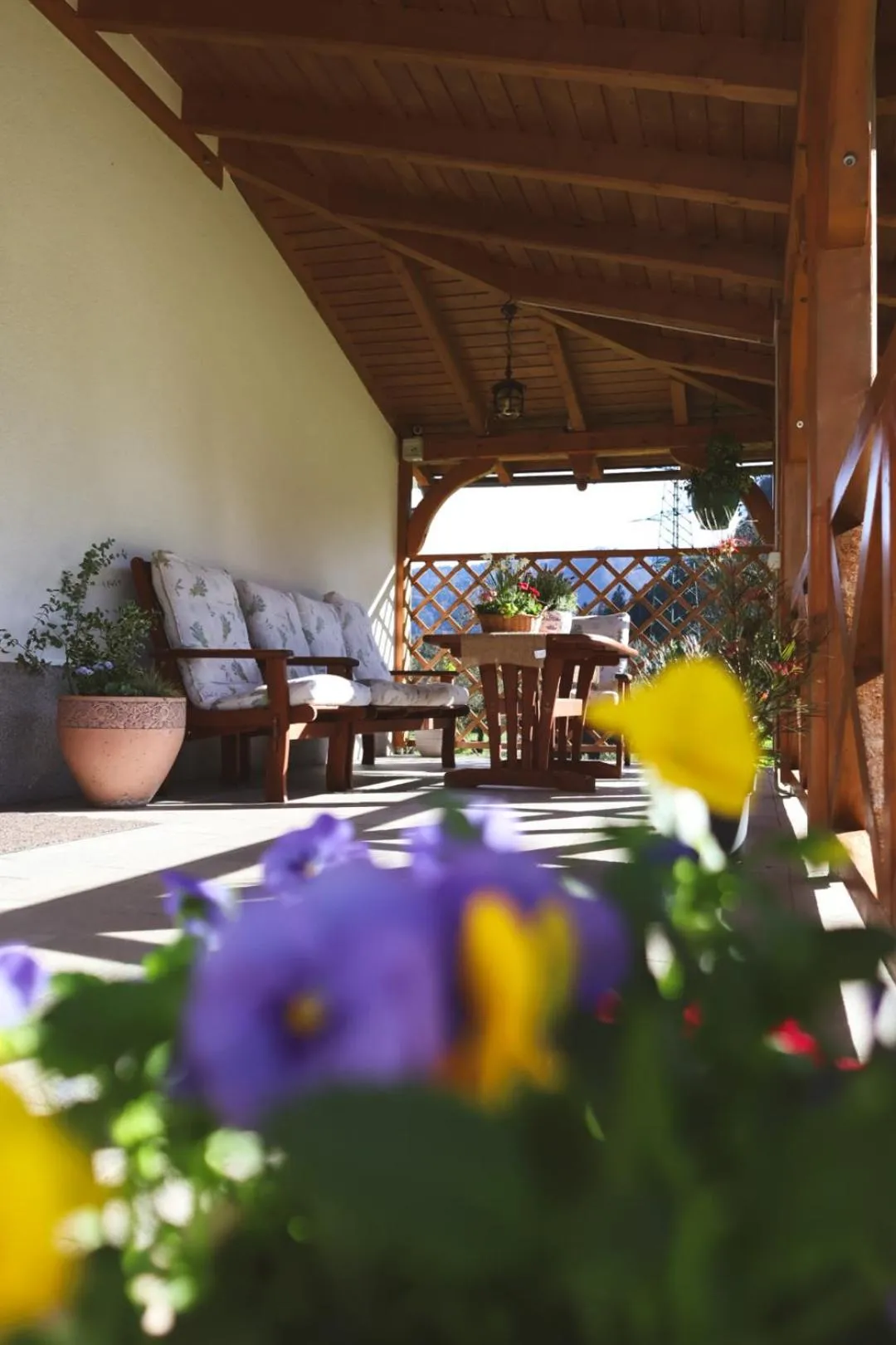 Garden in Apartments-Rooms Kocijancic