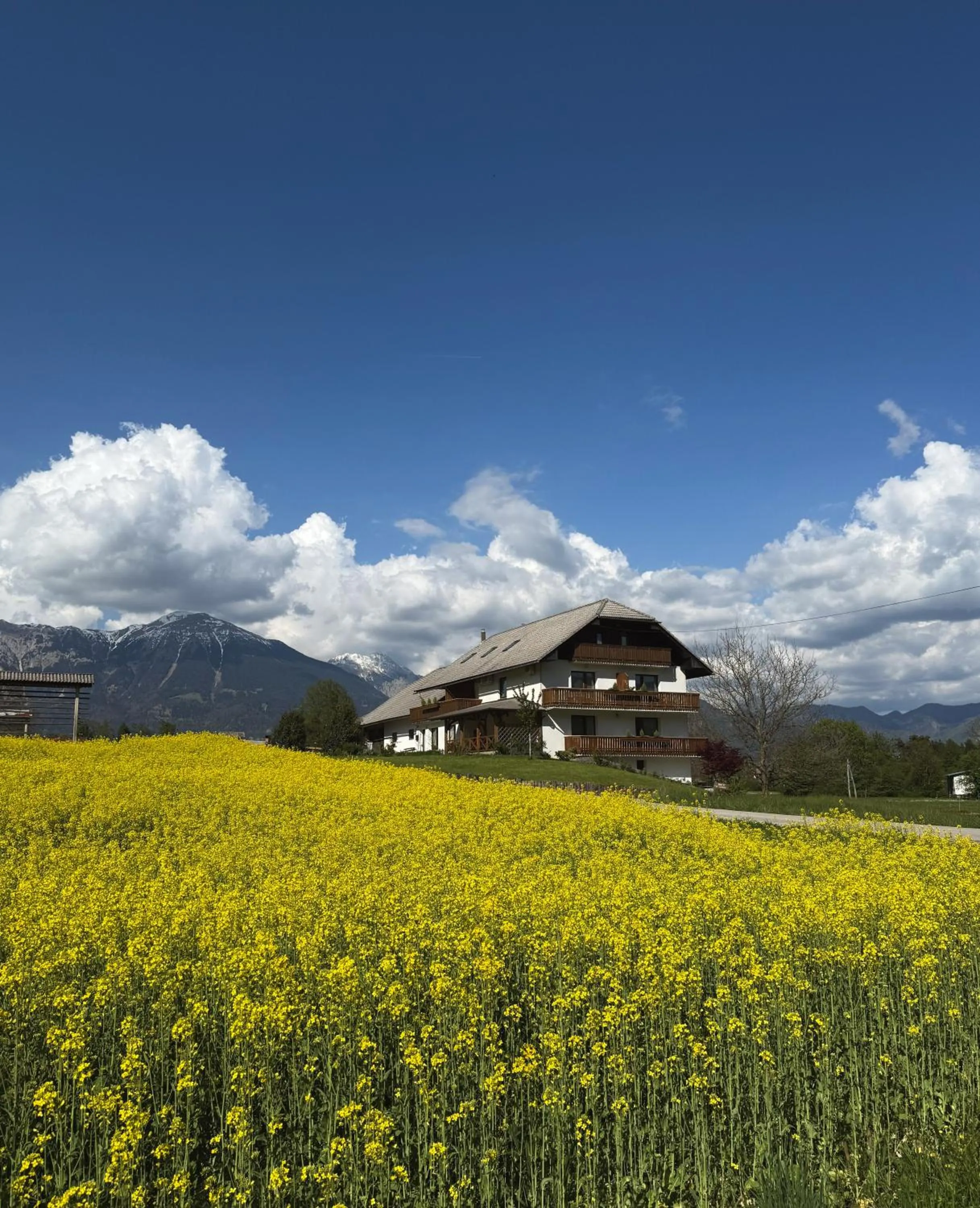 Property building in Apartments-Rooms Kocijancic