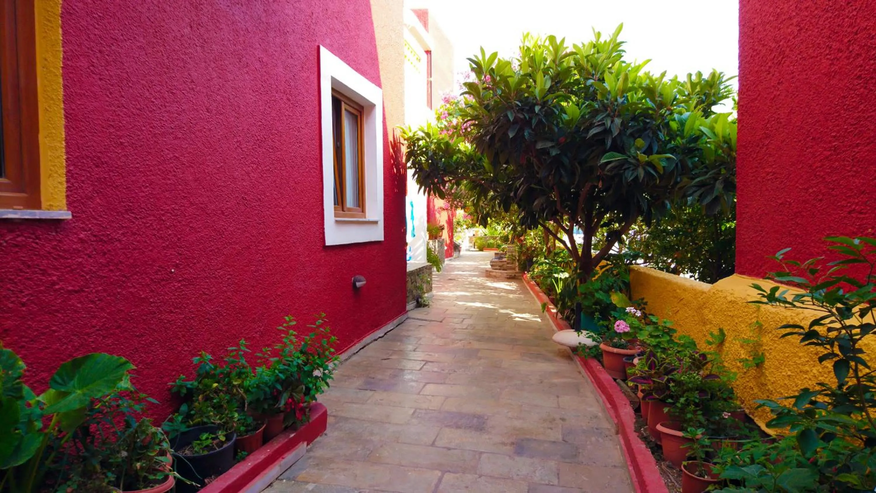 Summer in Katerini Apartments Hotel