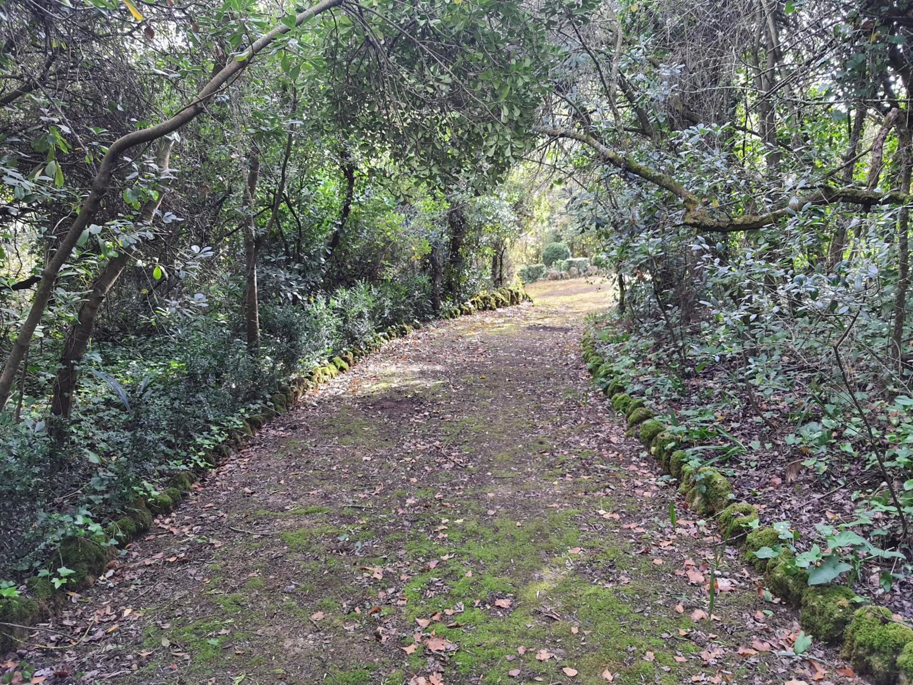 Garden in Casa D Obidos