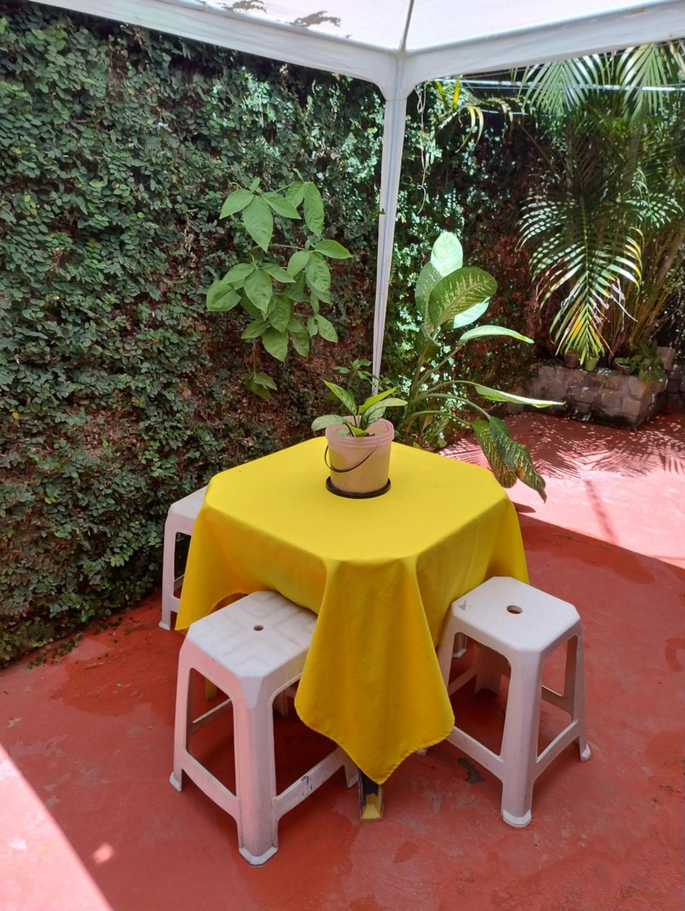 Patio in Perto Do Aeroporto De Salvador - Dona Pitanga Hostel