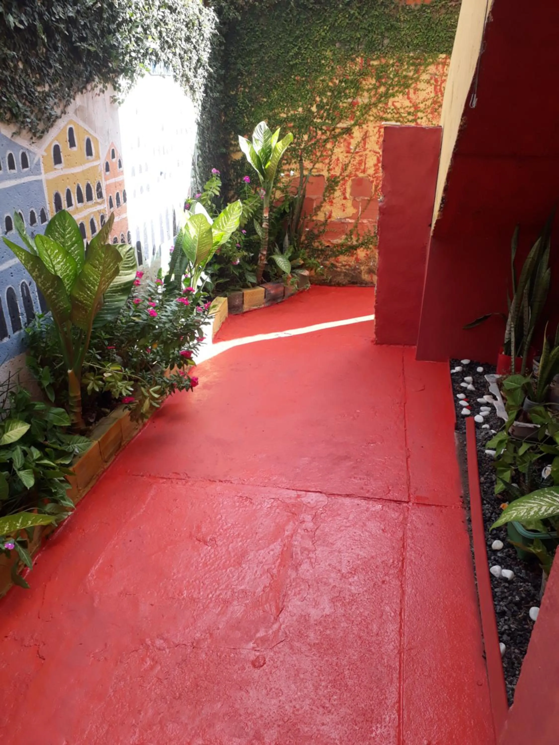 Garden in Perto Do Aeroporto De Salvador - Dona Pitanga Hostel