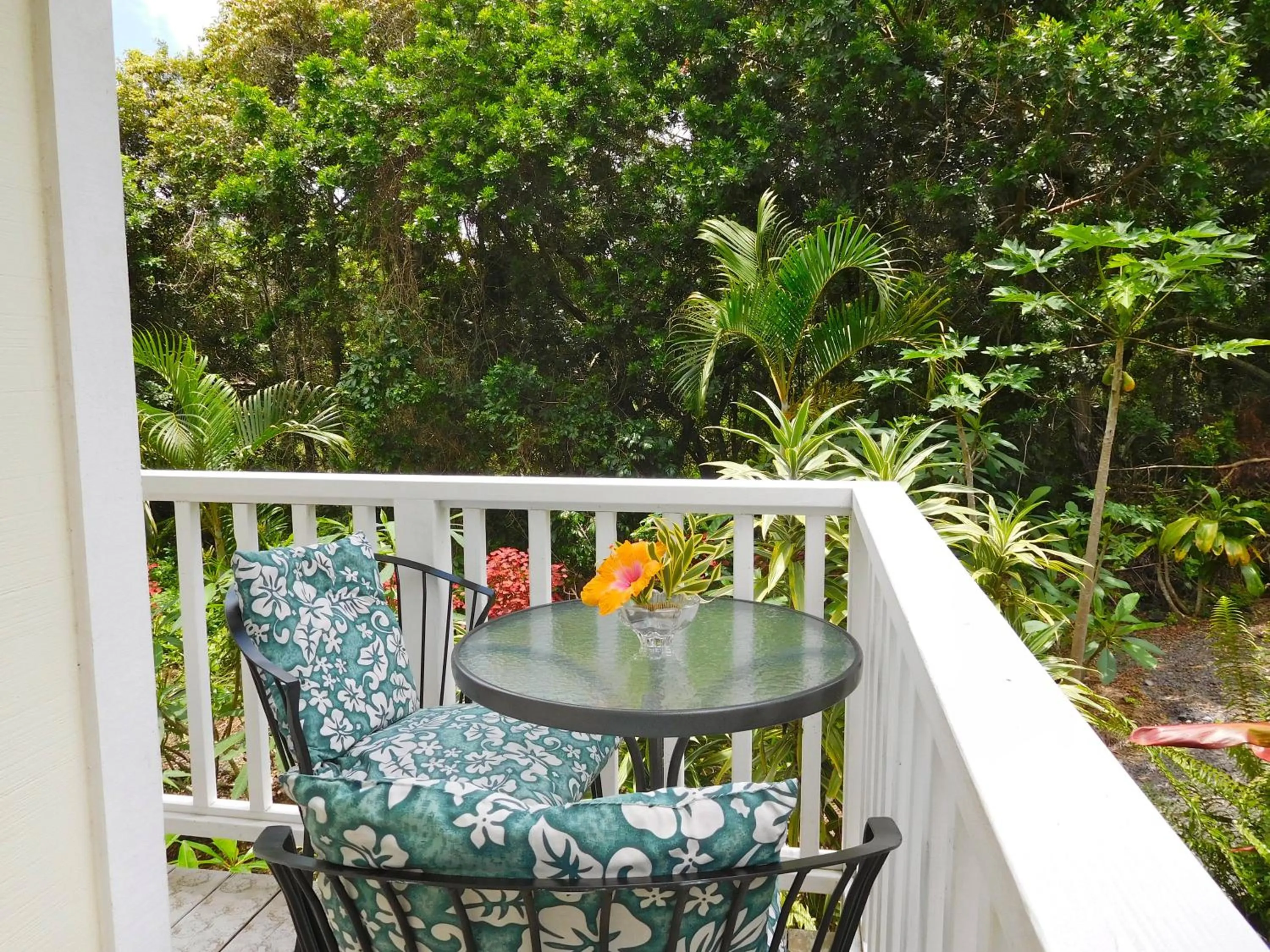 Bears' Place Guest House