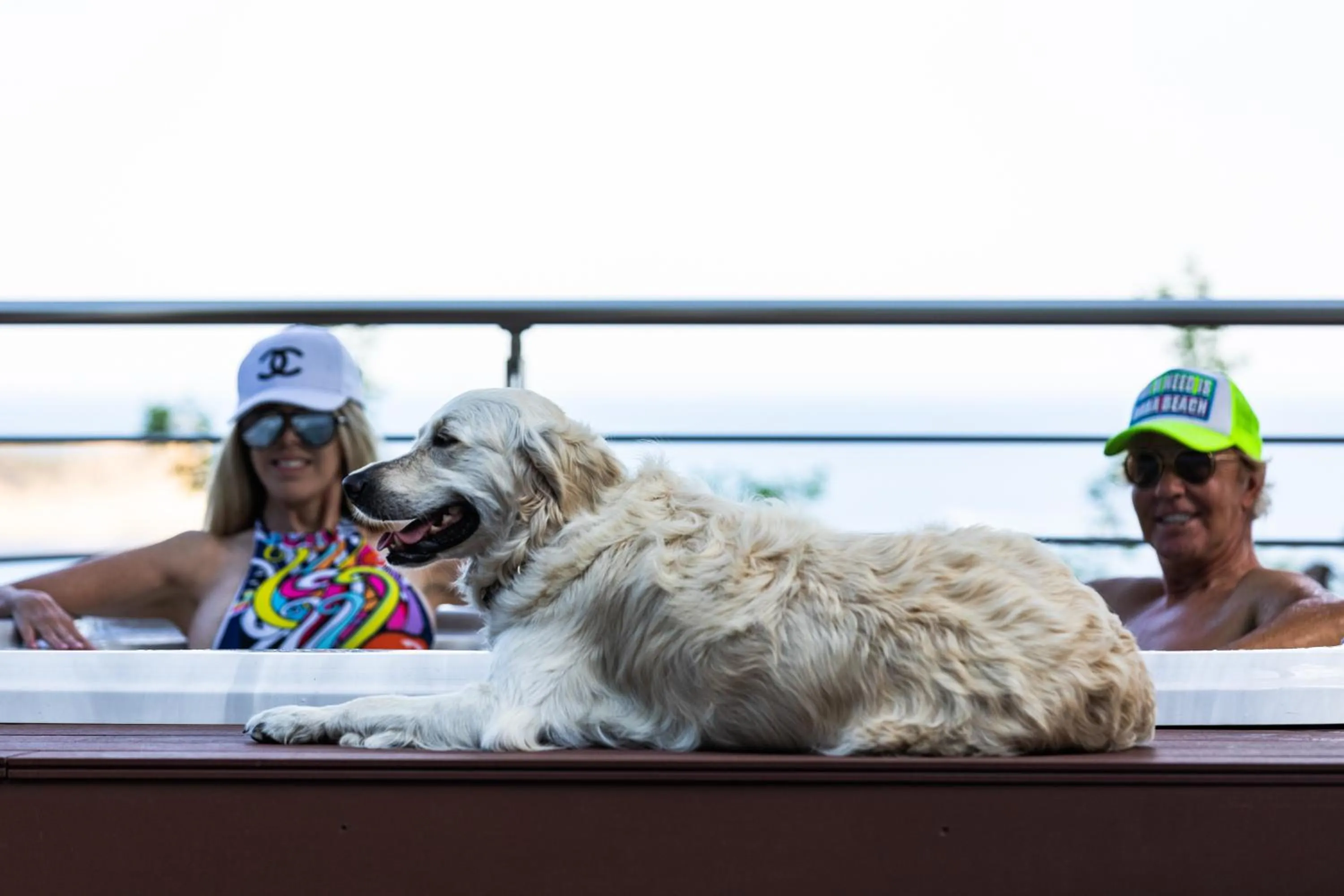 Pets in Baba Residences