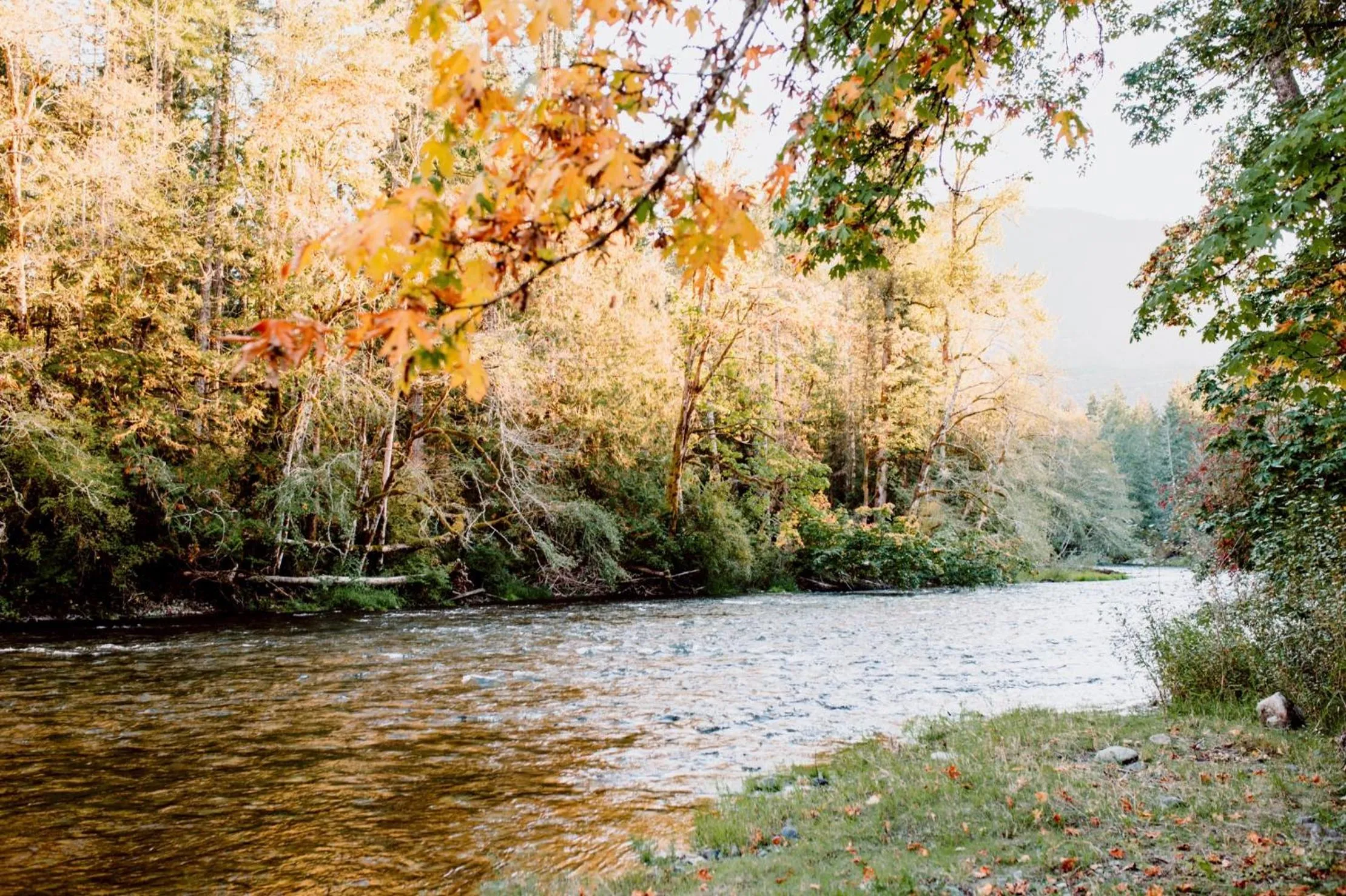 Cowichan River Lodge