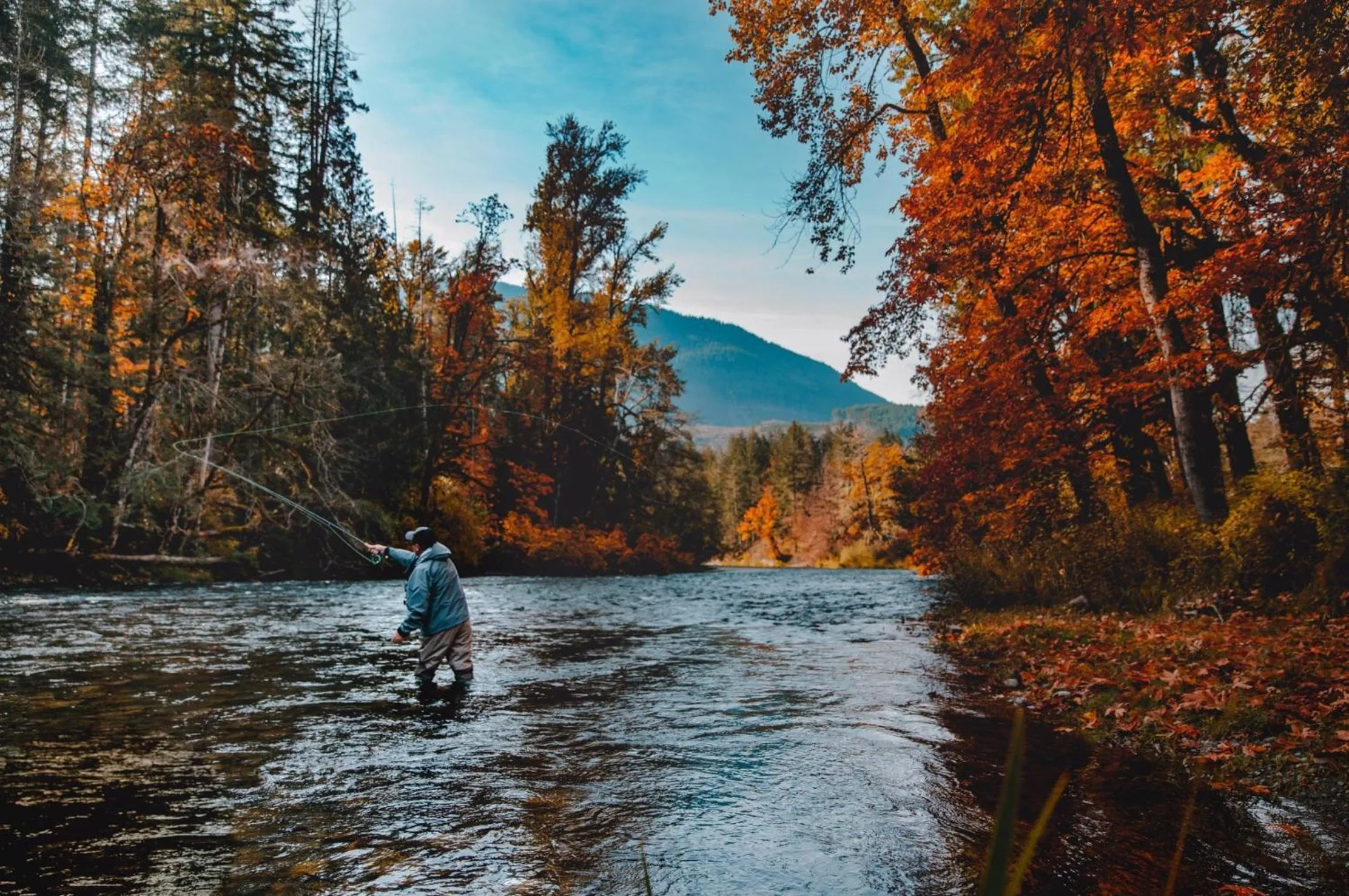 Cowichan River Lodge