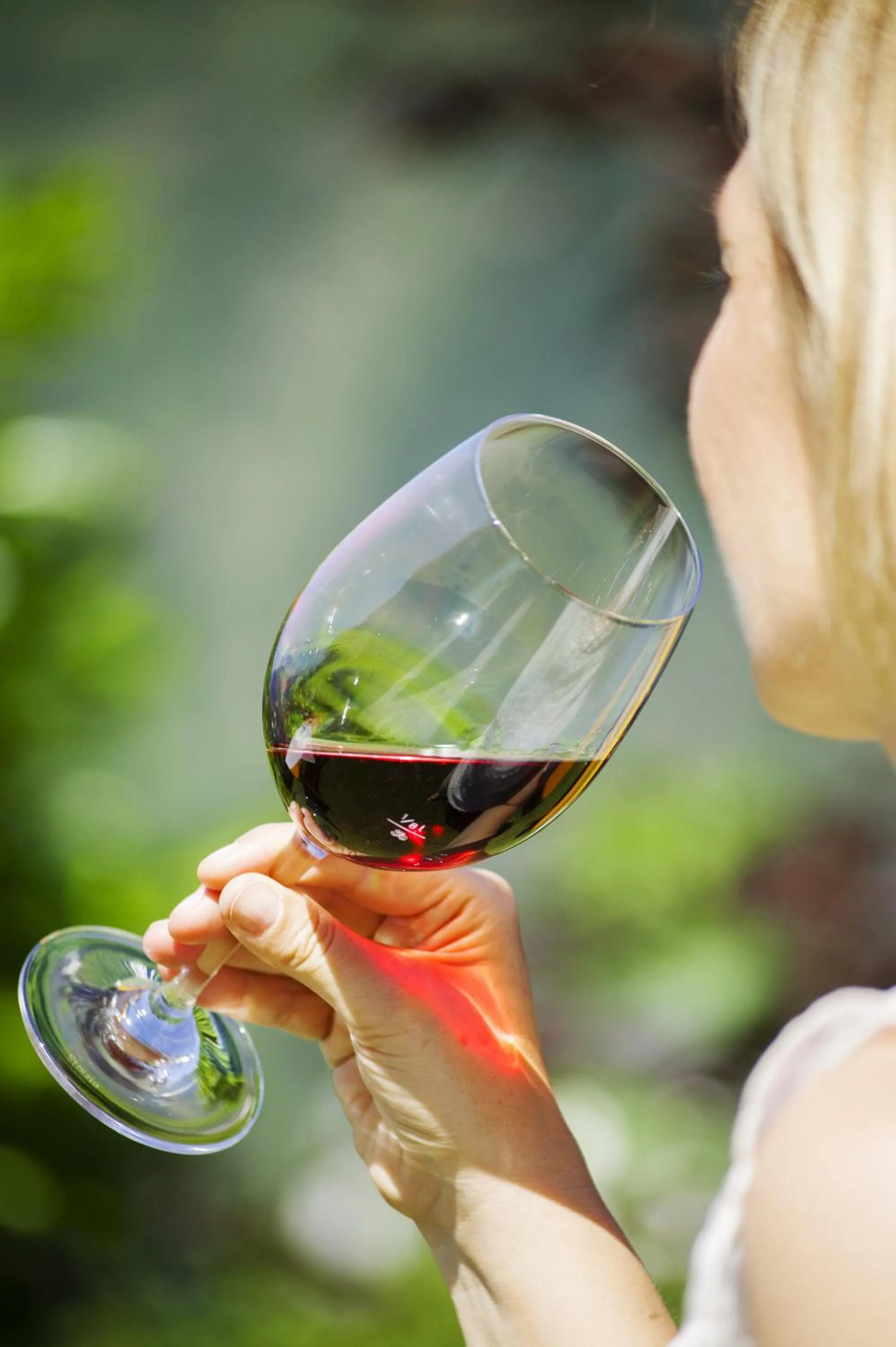 Alcoholic drinks in Hotel Garni Alpenhof