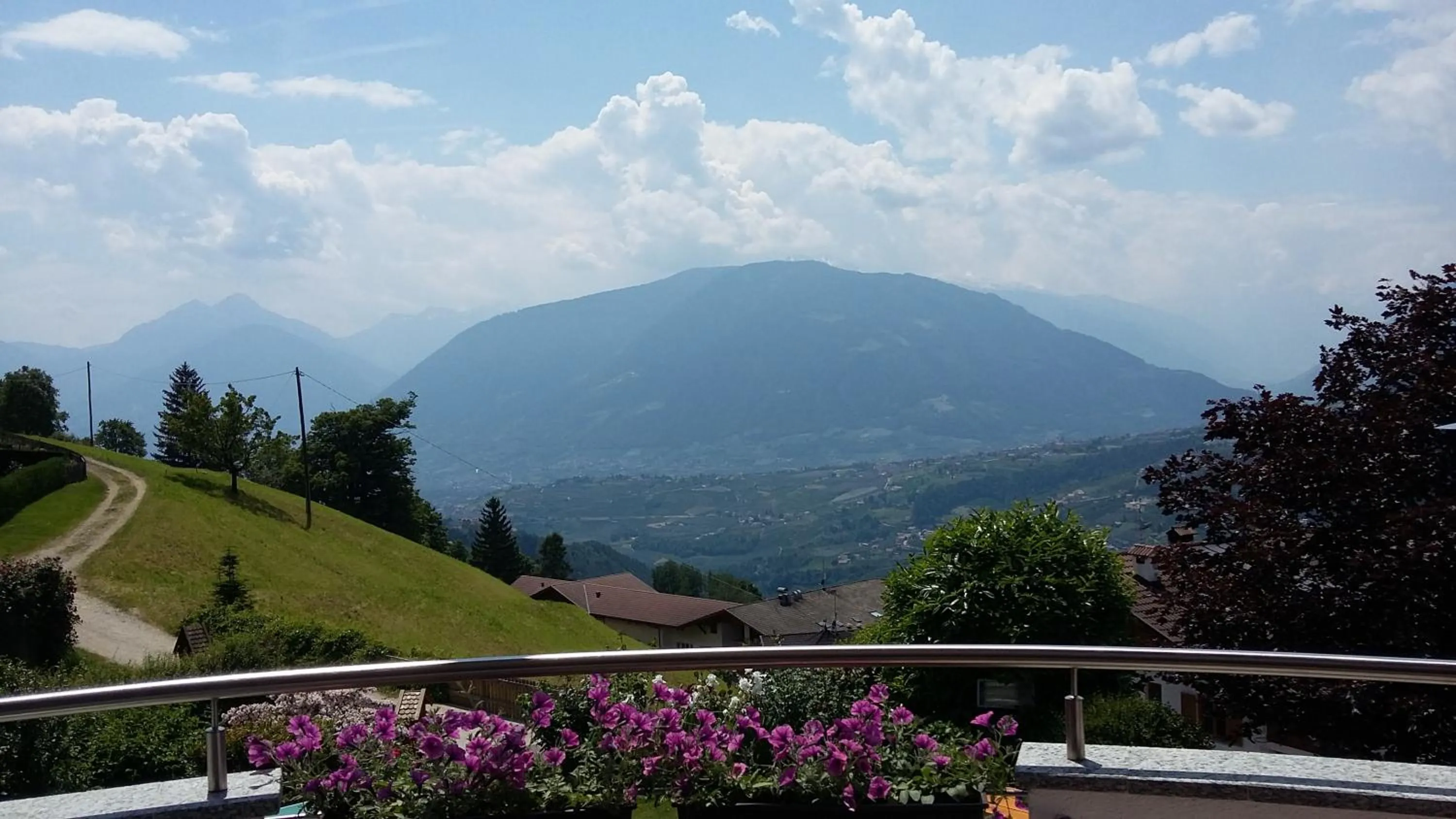 Balcony/Terrace in Hotel Garni Alpenhof