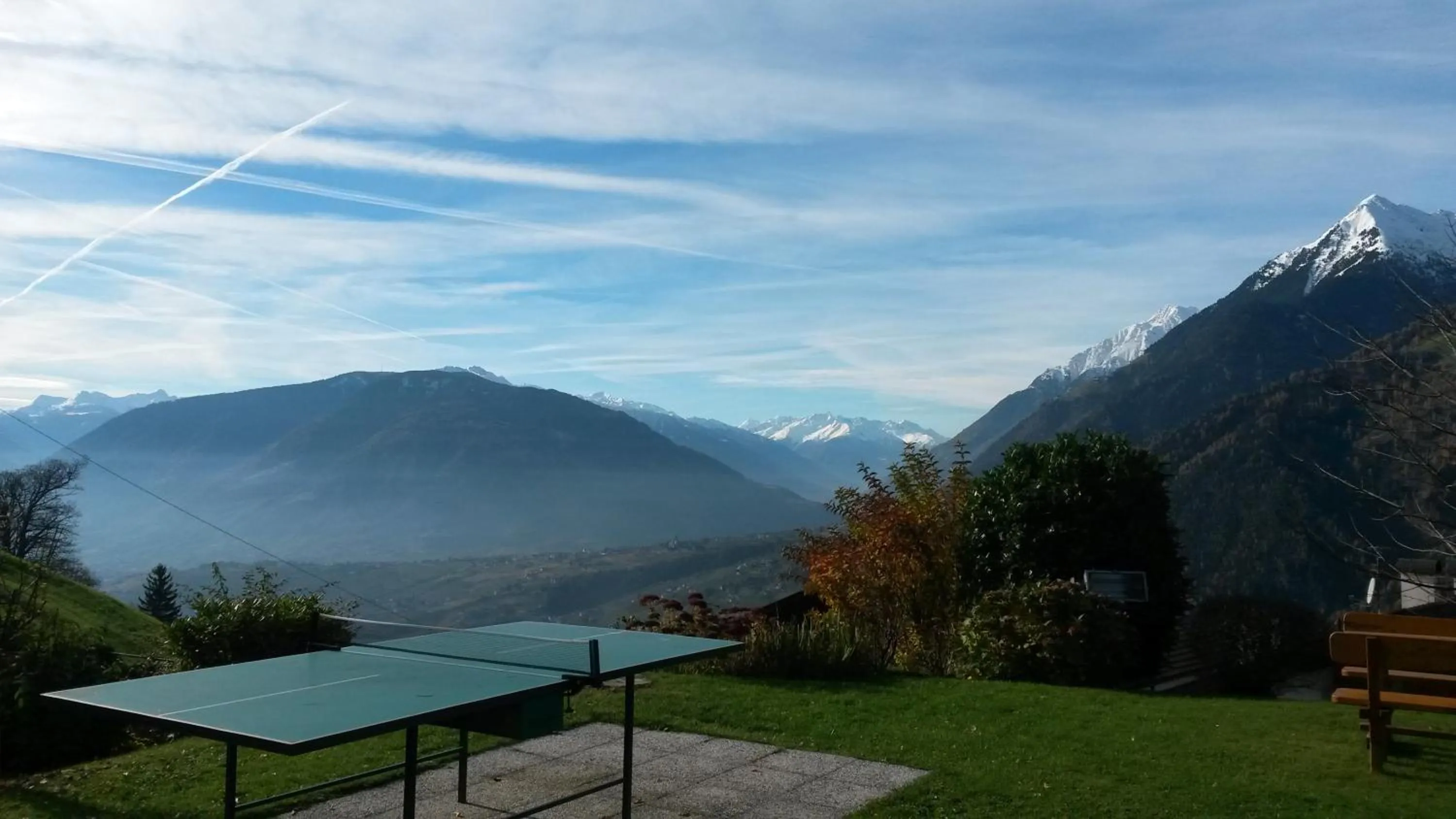 Garden in Hotel Garni Alpenhof