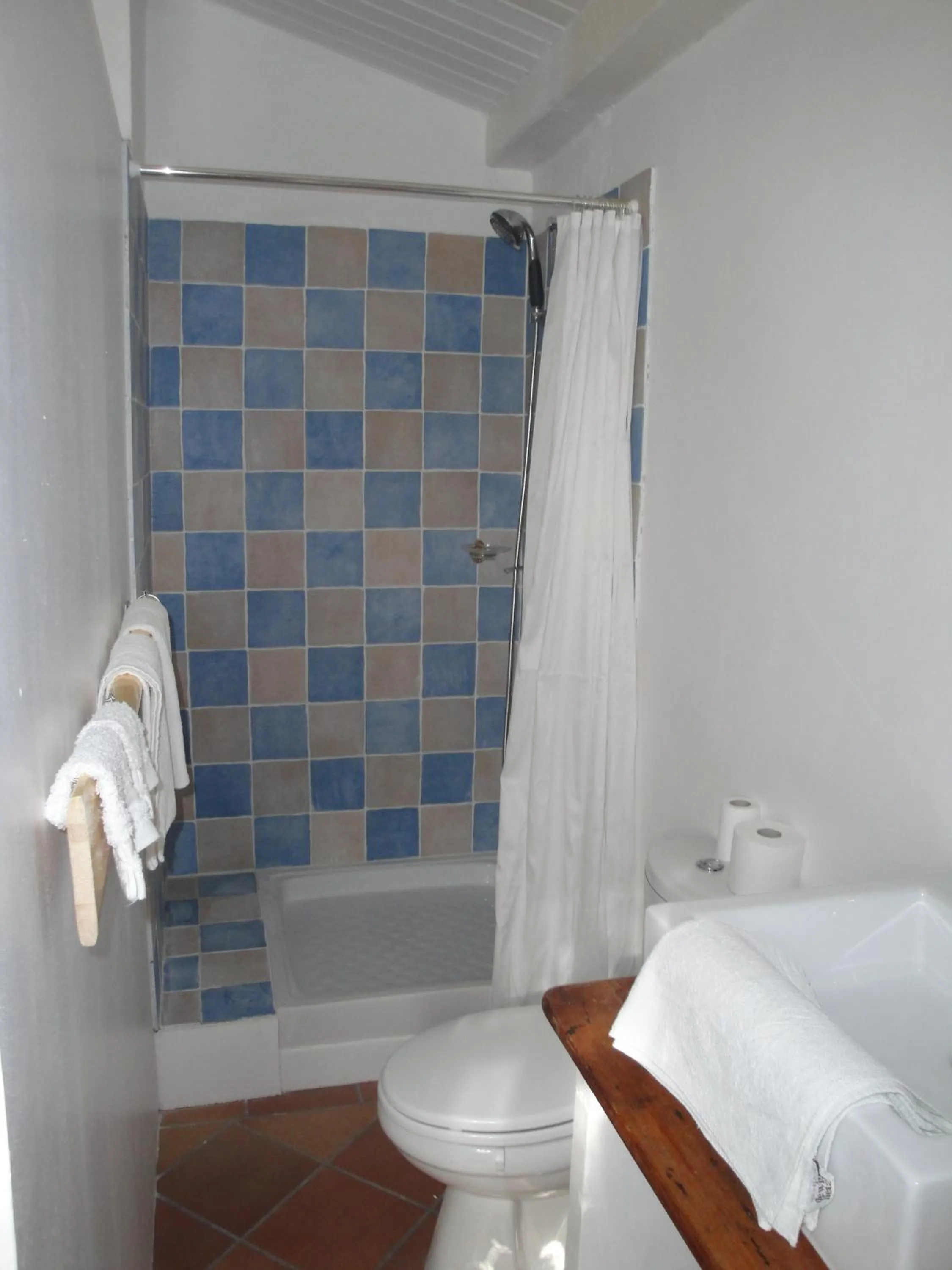 Shower in Le Buzet Bleu Bed & Breakfast