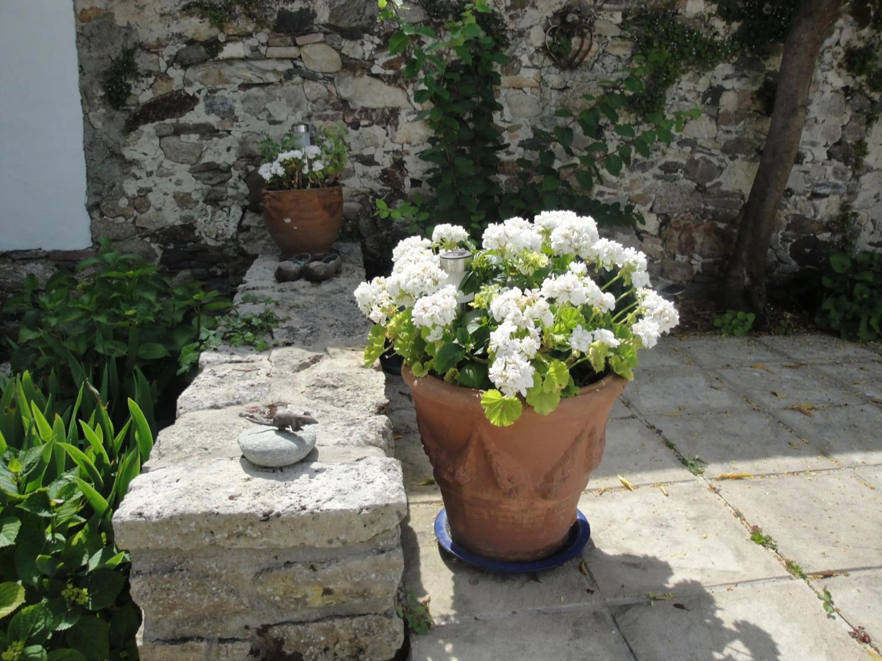 Garden in Le Buzet Bleu Bed & Breakfast