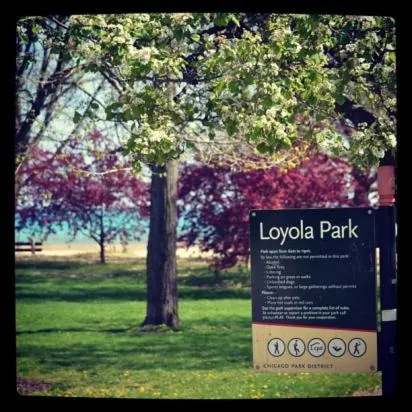 Beach in The Greenleaf House
