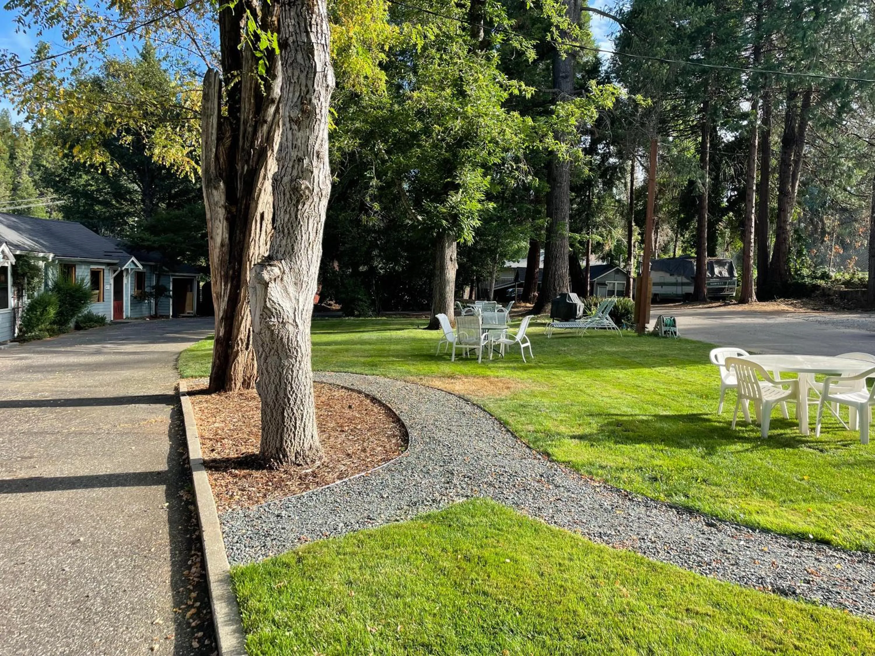 Garden in Piety Hill Cottages