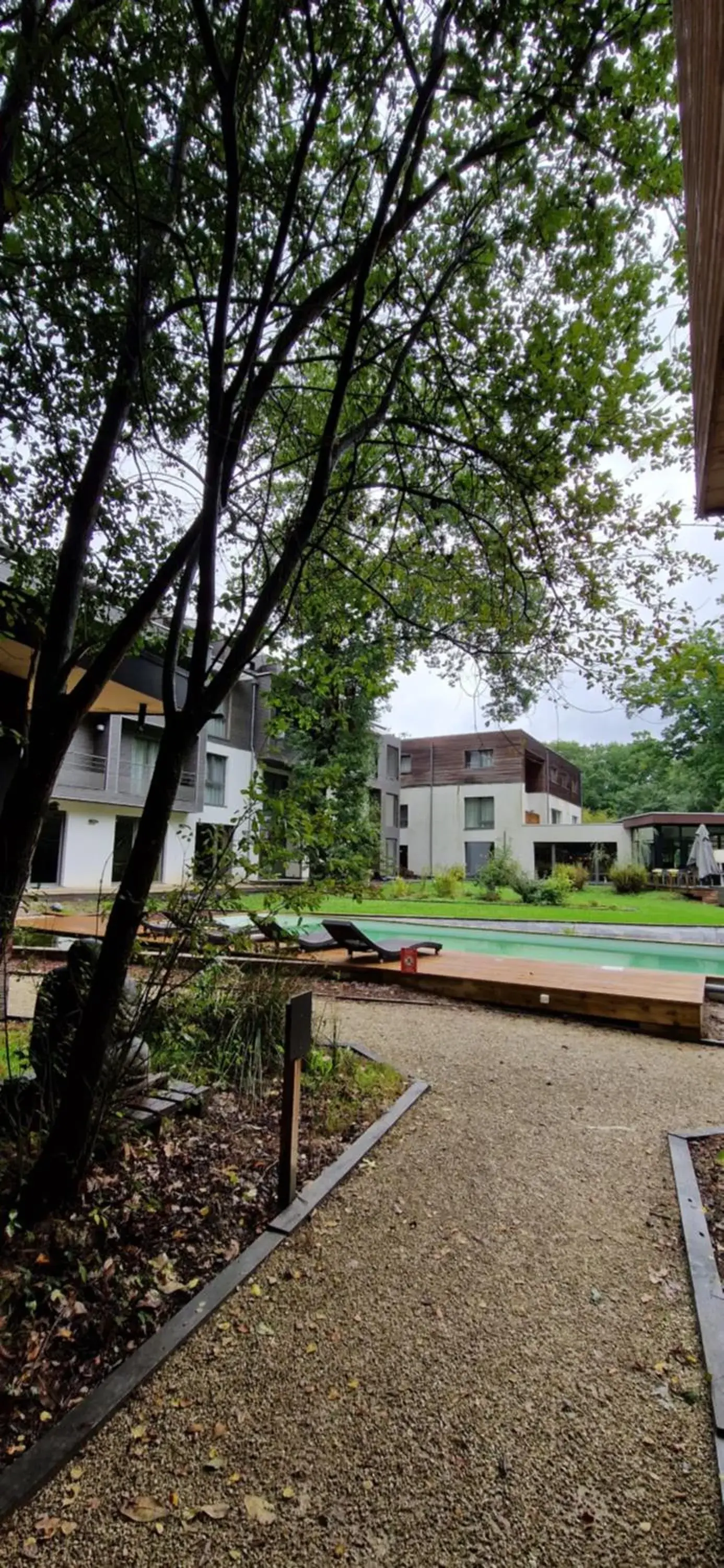 Swimming pool in Utopia Hotel - Art & Nature Hotel Swimming pool in Utopia Hotel - Art & Nature Hotel