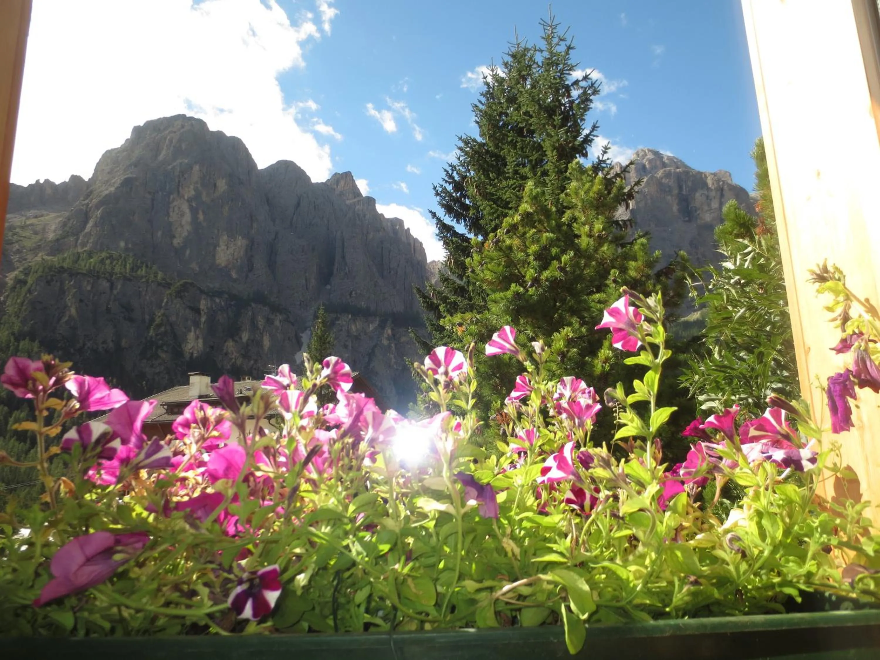 View (from property/room) in Hotel Borest