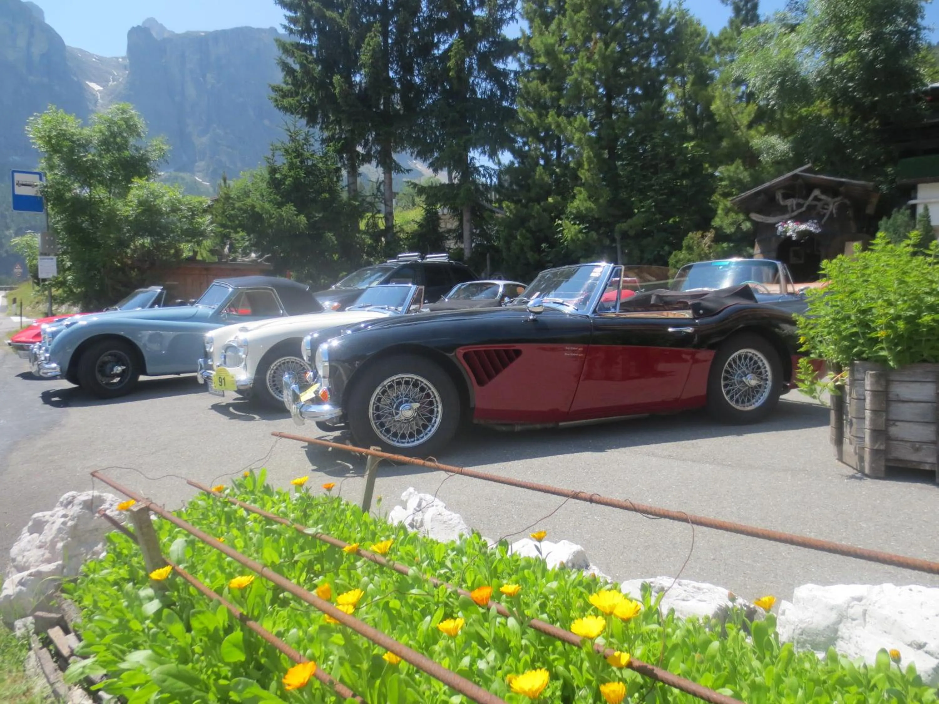Facade/entrance in Hotel Borest