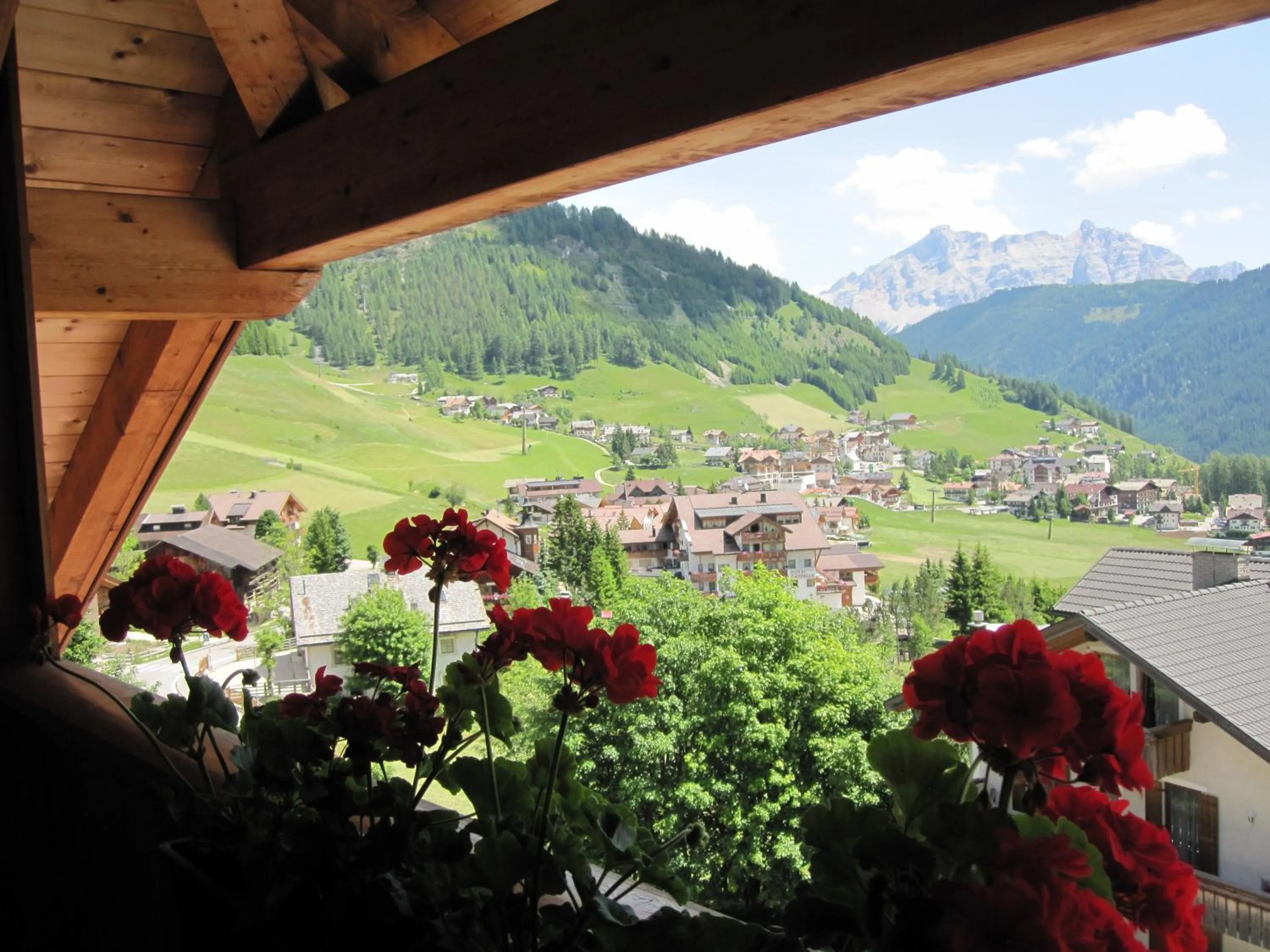 View (from property/room) in Hotel Borest