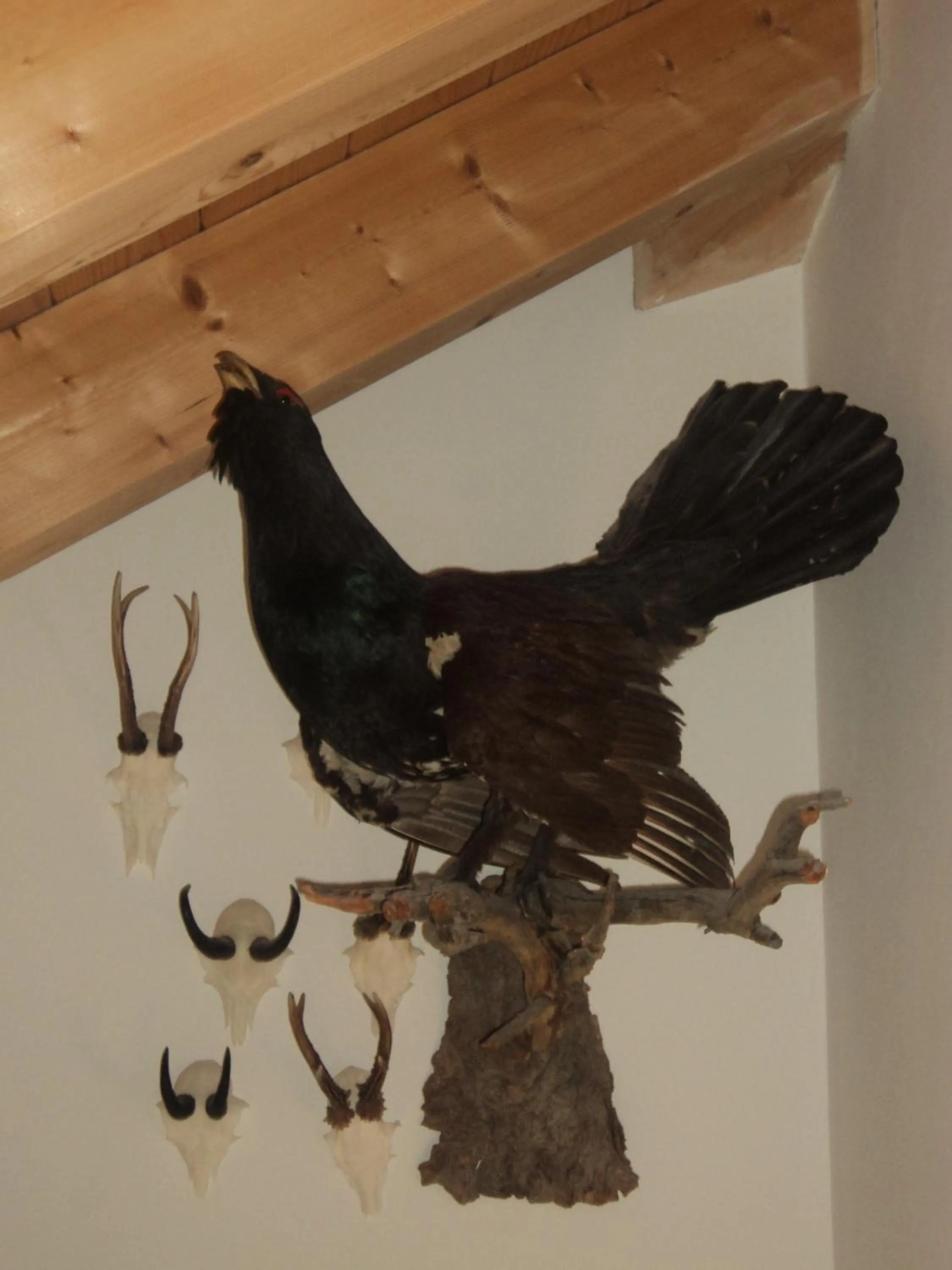 Other in Hotel Borest