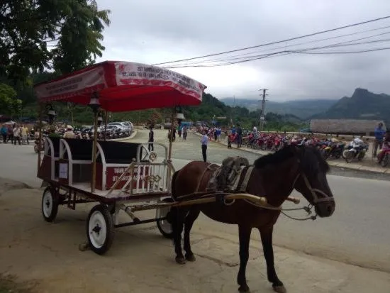 Horse-riding in Ngan Nga Bac Ha Hotel