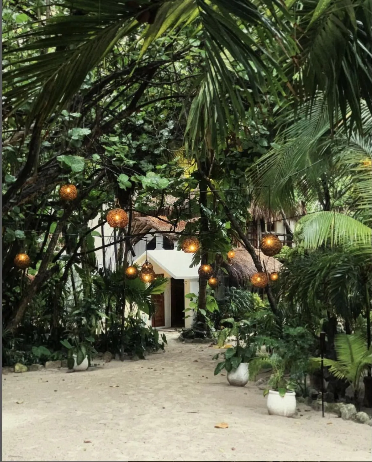 Garden in Casa Violeta